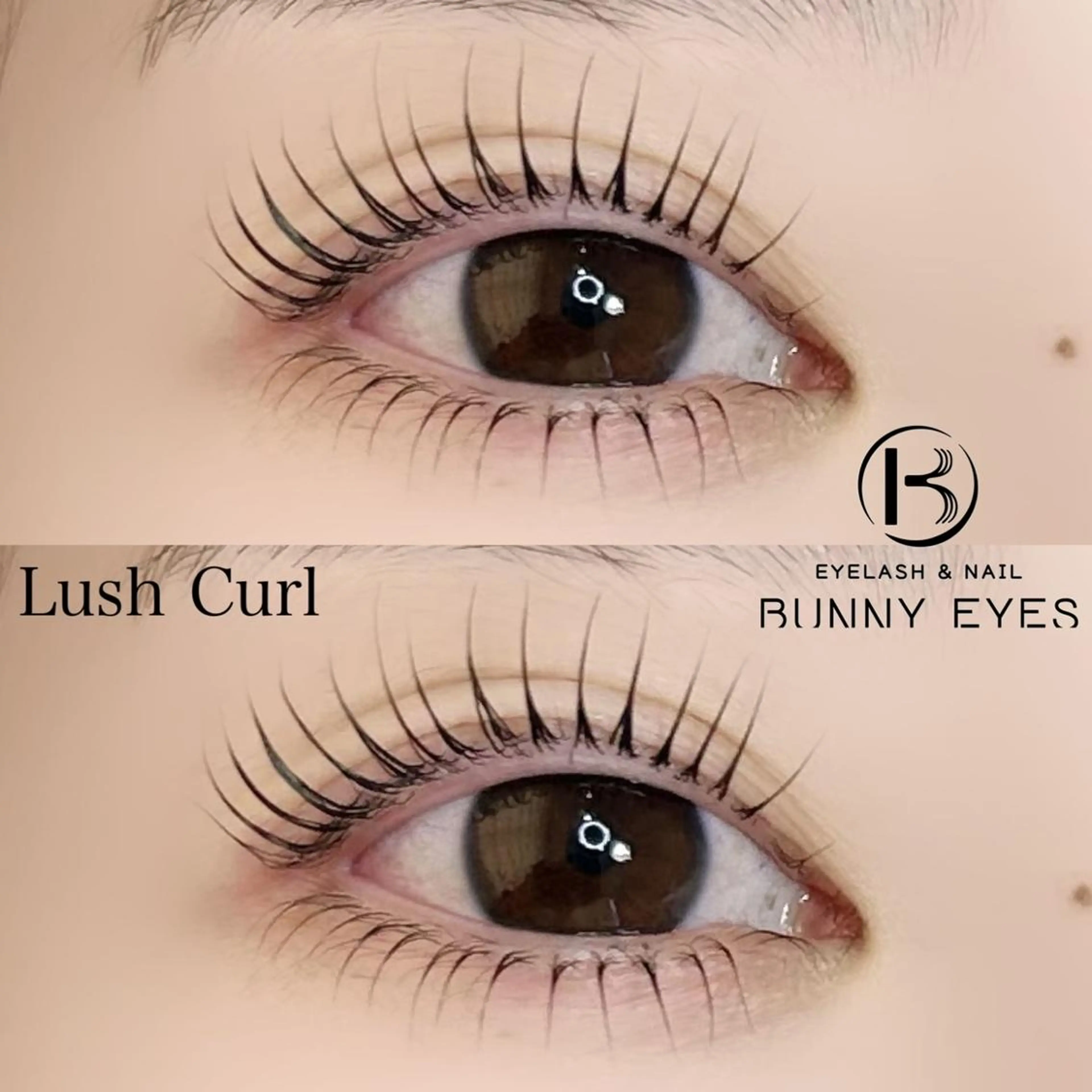 【平日限定】トリートメントラッシュカール(マツパ)\3980 カルテ記入の為10分前にご来店お願い致しますの写真