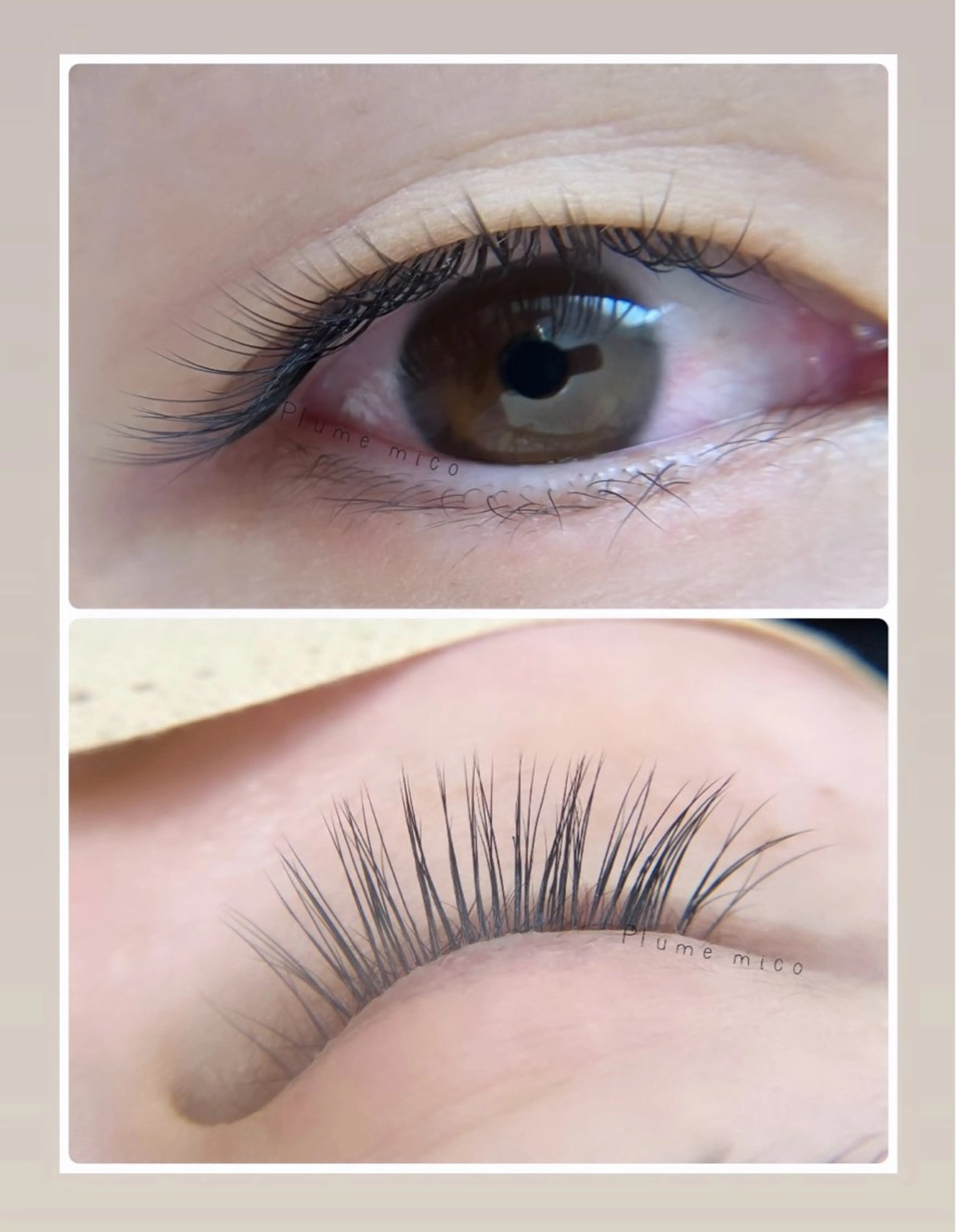 マツエク・マツパ マツエク Plume micoのマツエク・マツパデザイン