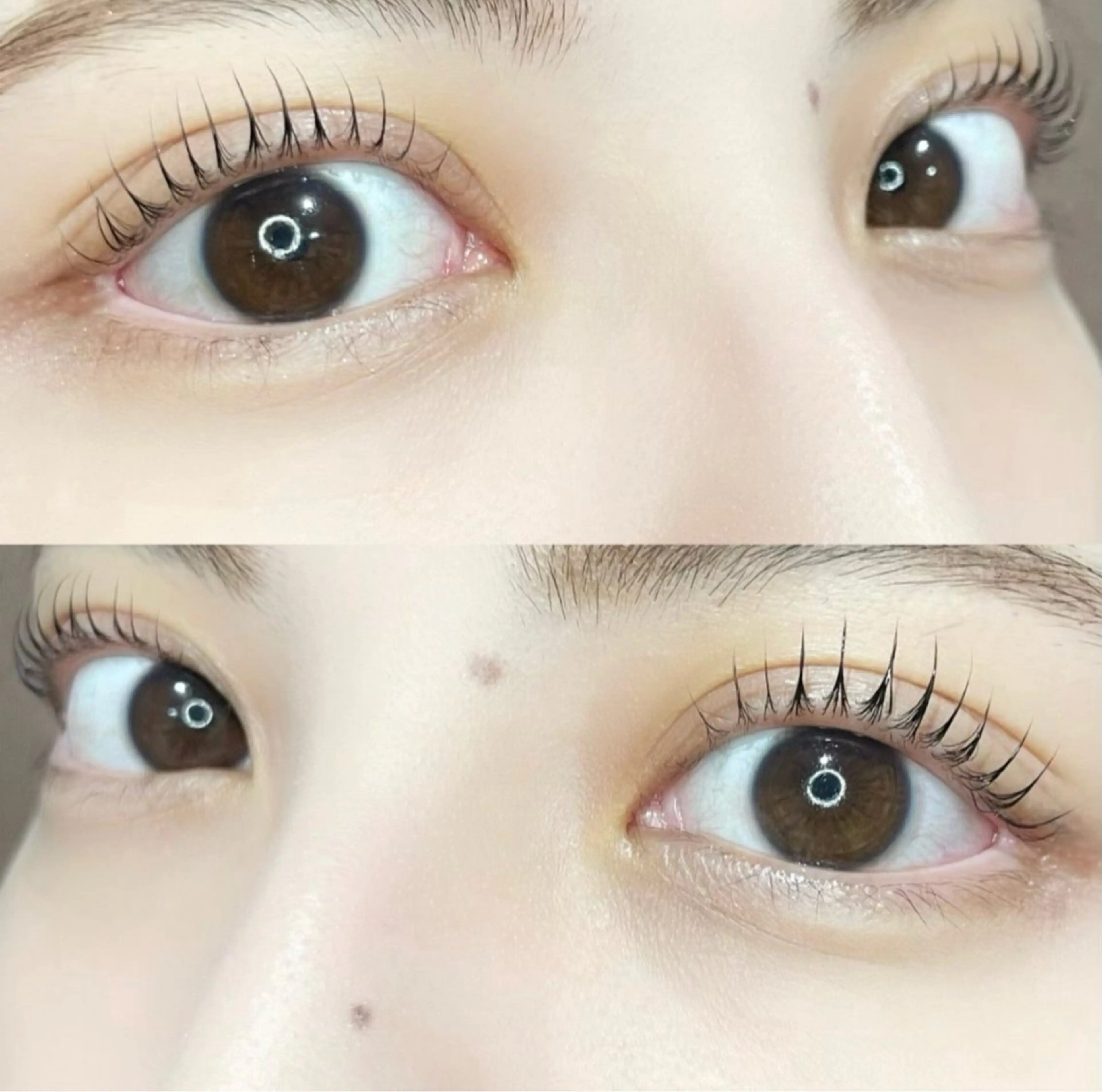 マツエク・マツパ マツパ 🦖fein. YUINA🦕⋆͛のマツエク・マツパデザイン