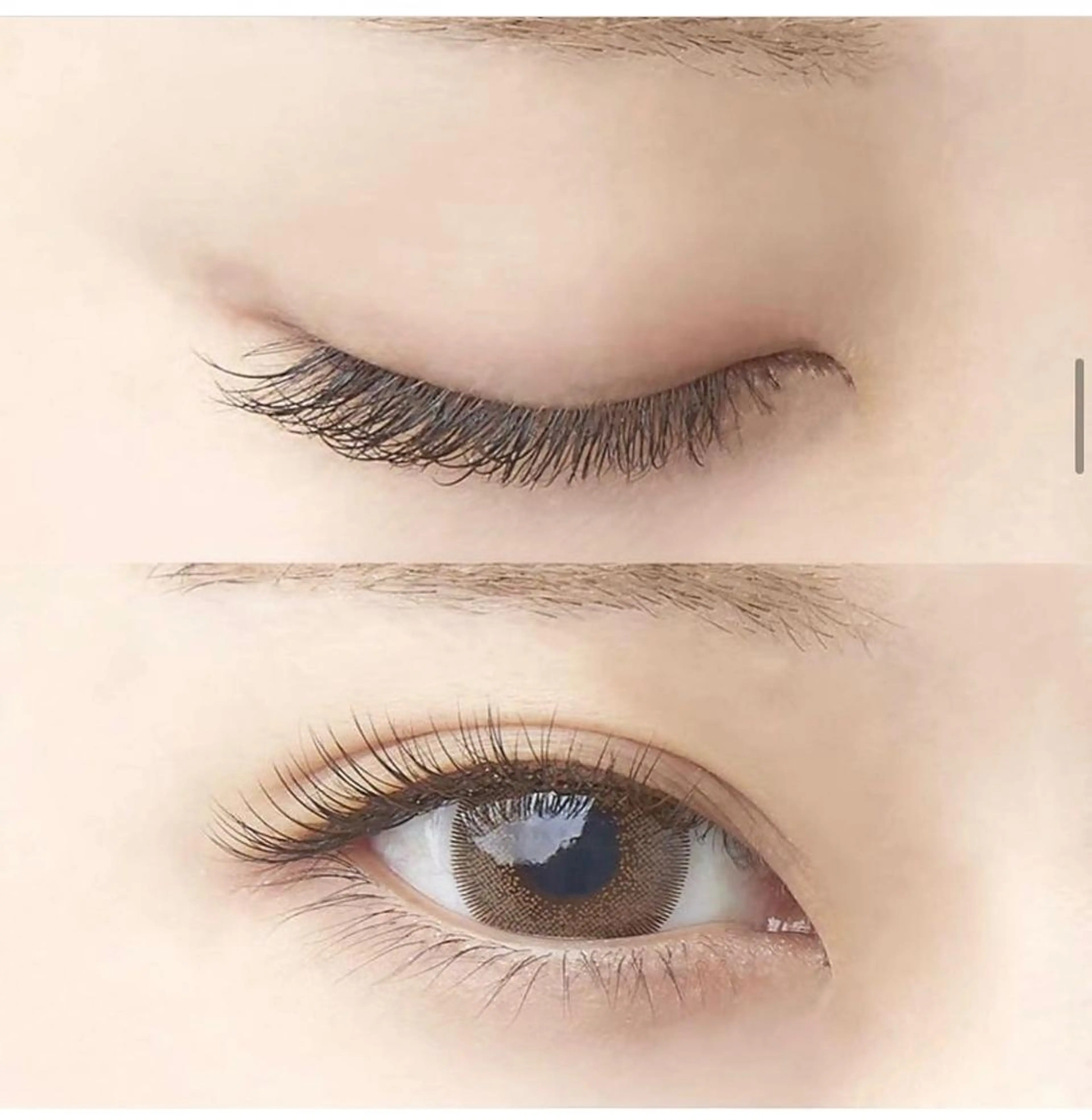 マツエク・マツパ まつげパーマ セーブル マツエク H. Yurinaの眉毛・アイブロウイメージ