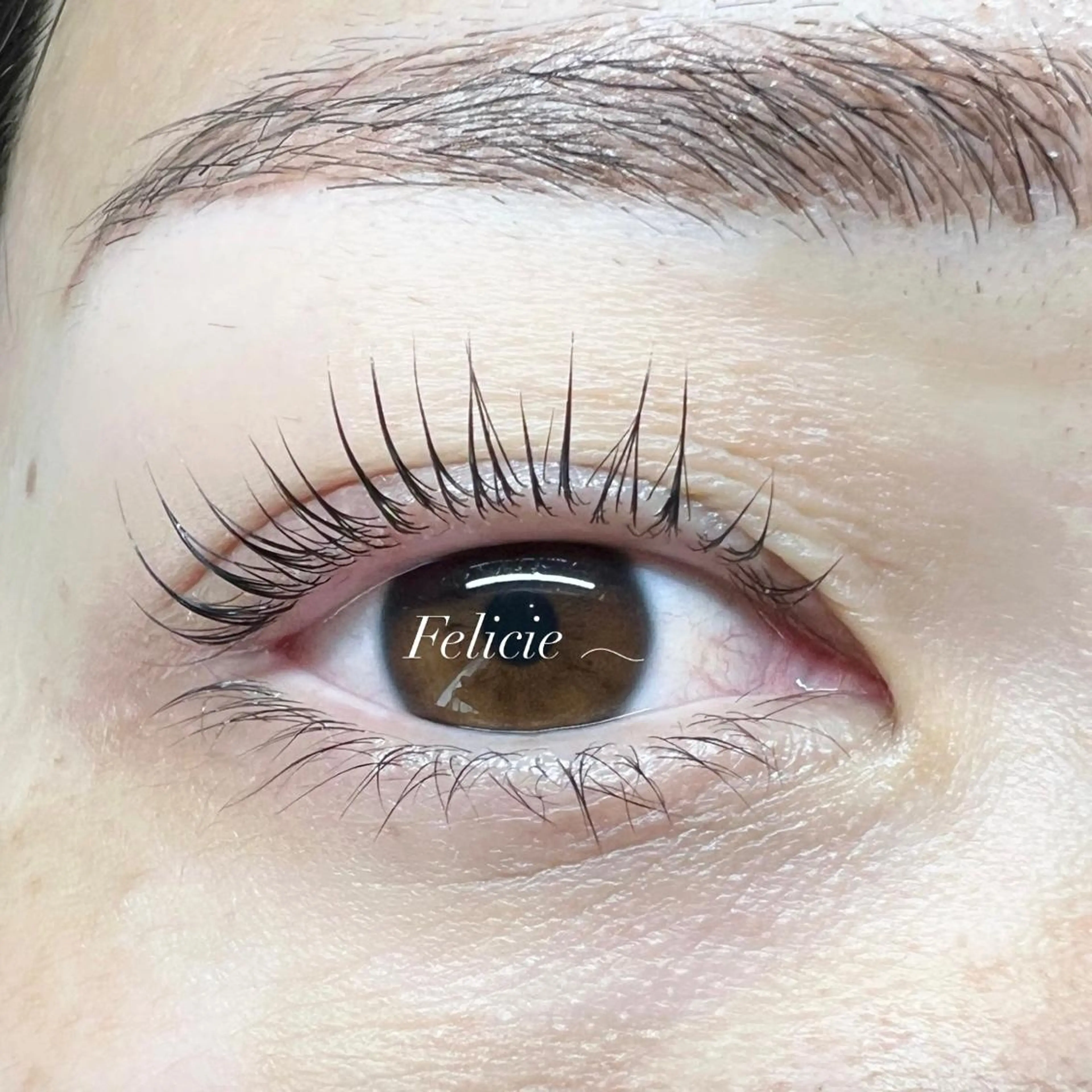 マツエク・マツパ パリジェンヌラッシュリフト マツパ Felicie＊ Sayakaのマツエク・マツパデザイン