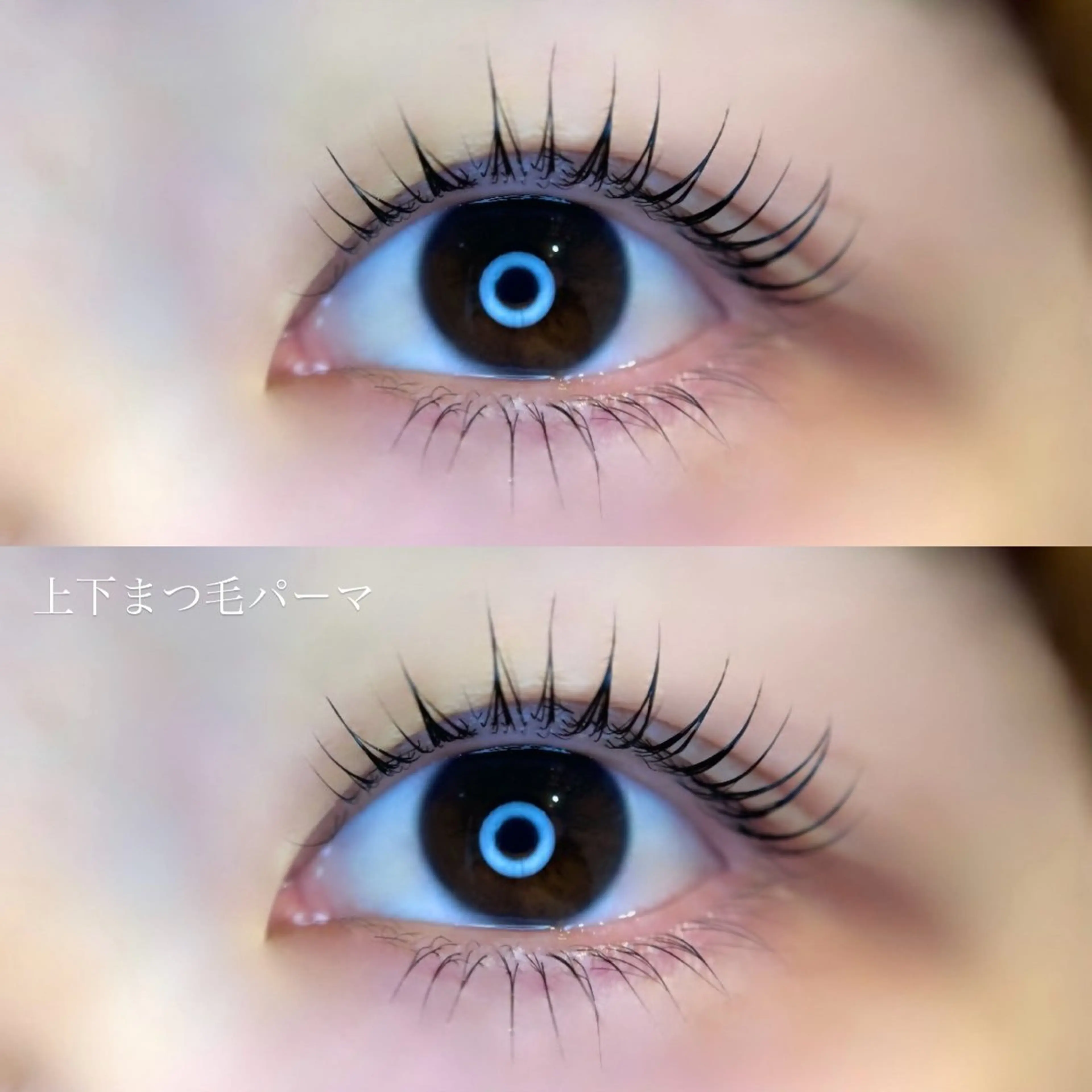 マツエク・マツパ 下まつげエクステ 一重×まつ毛パーマ arce -ｱﾙｾ- 🔅ヒマワリのマツエク・マツパデザイン