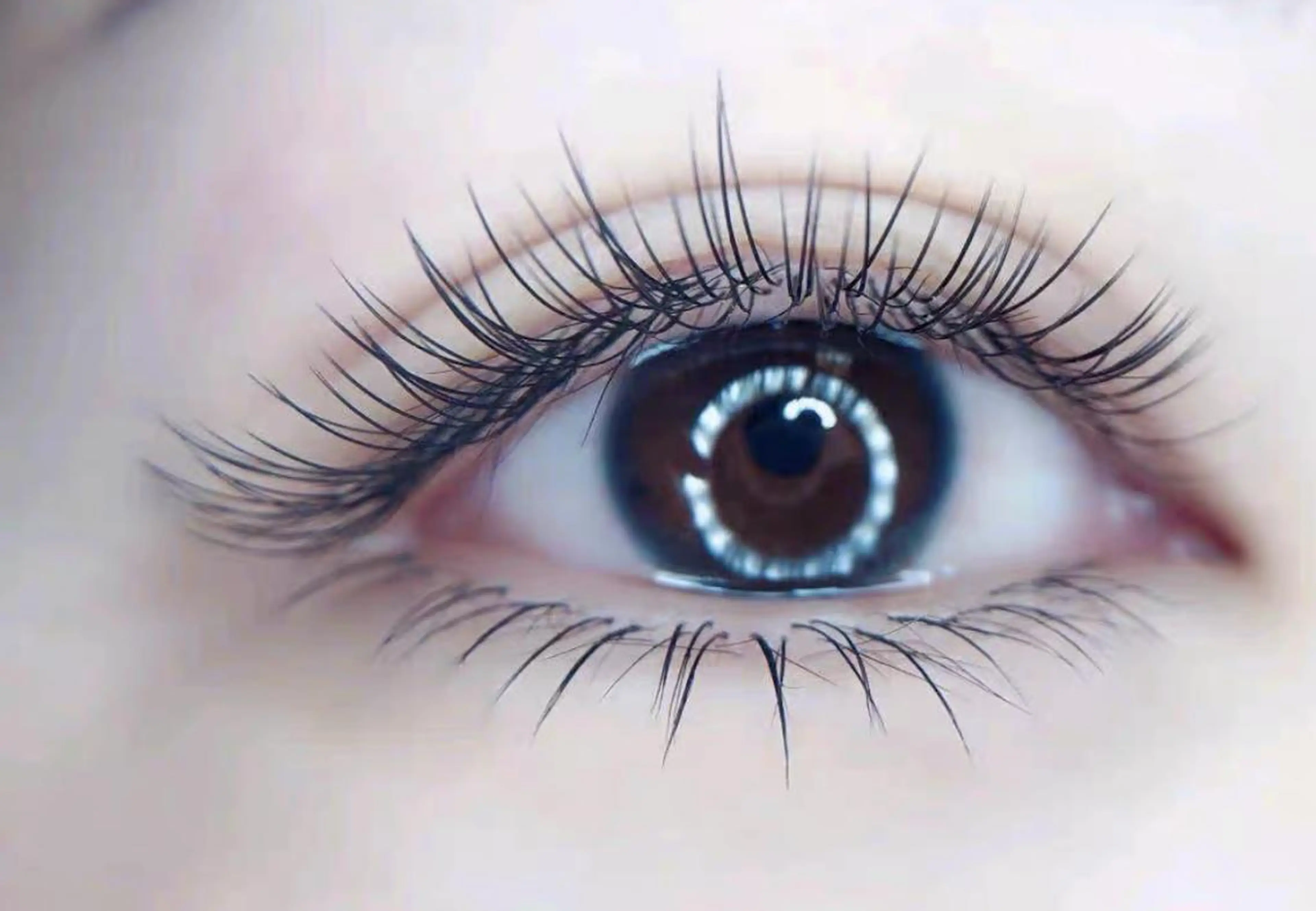 マツエク・マツパ Cute B e au t yのマツエク・マツパデザイン