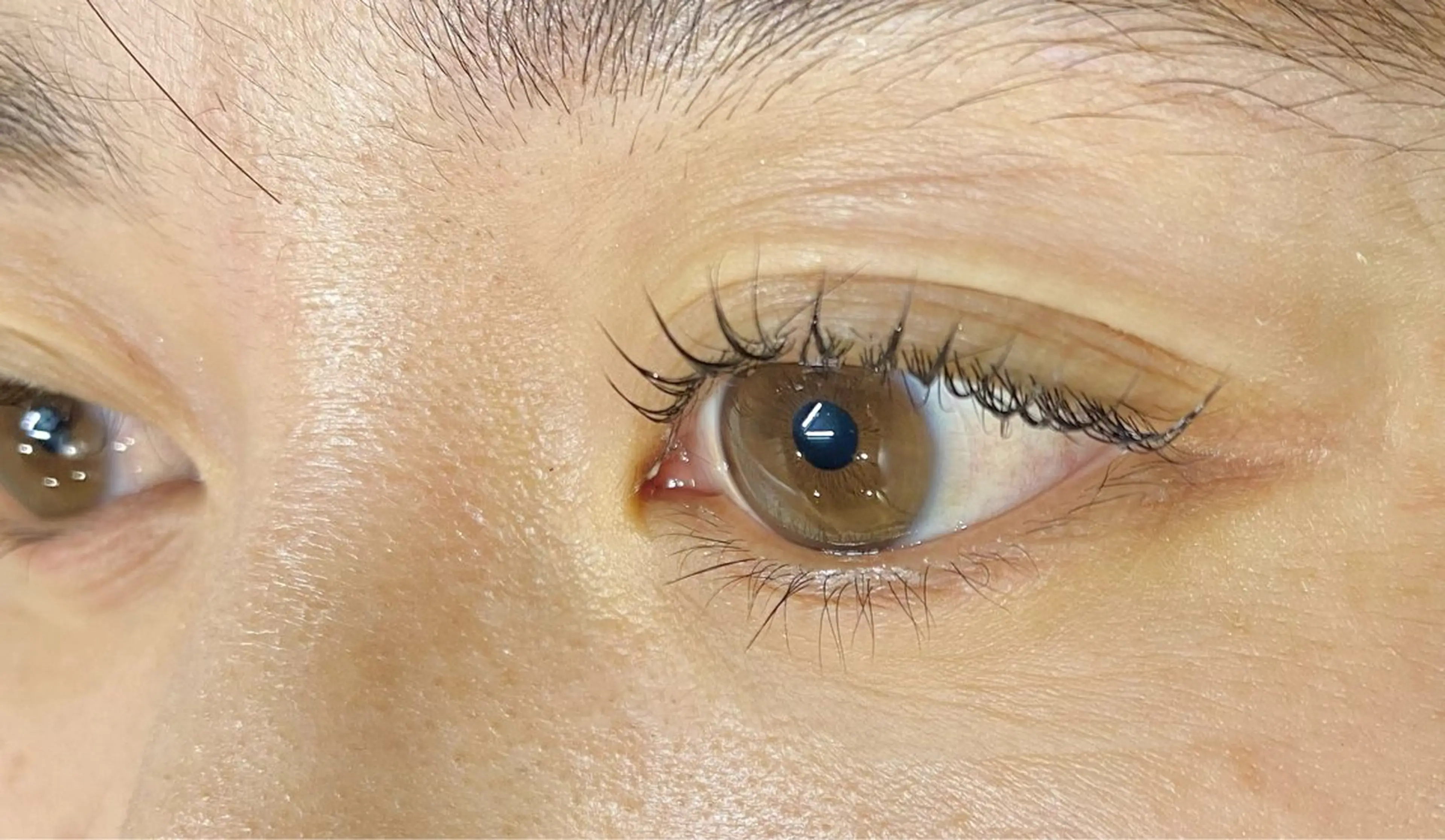 【リピーター様】まつげパーマの写真