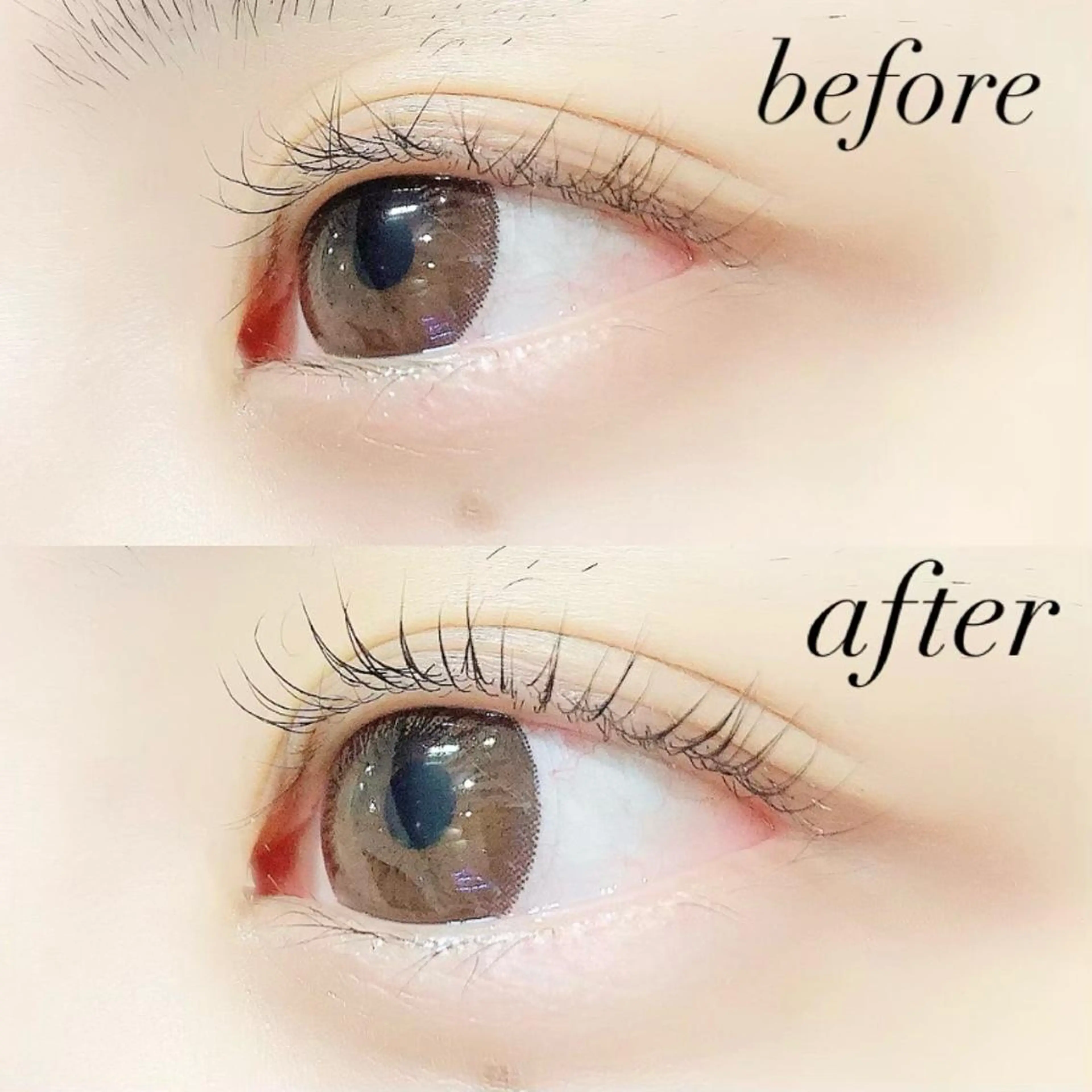 マツエク・マツパ 一重×まつ毛パーマ 【Lanhr】 🕊aya🕊のマツエク・マツパデザイン