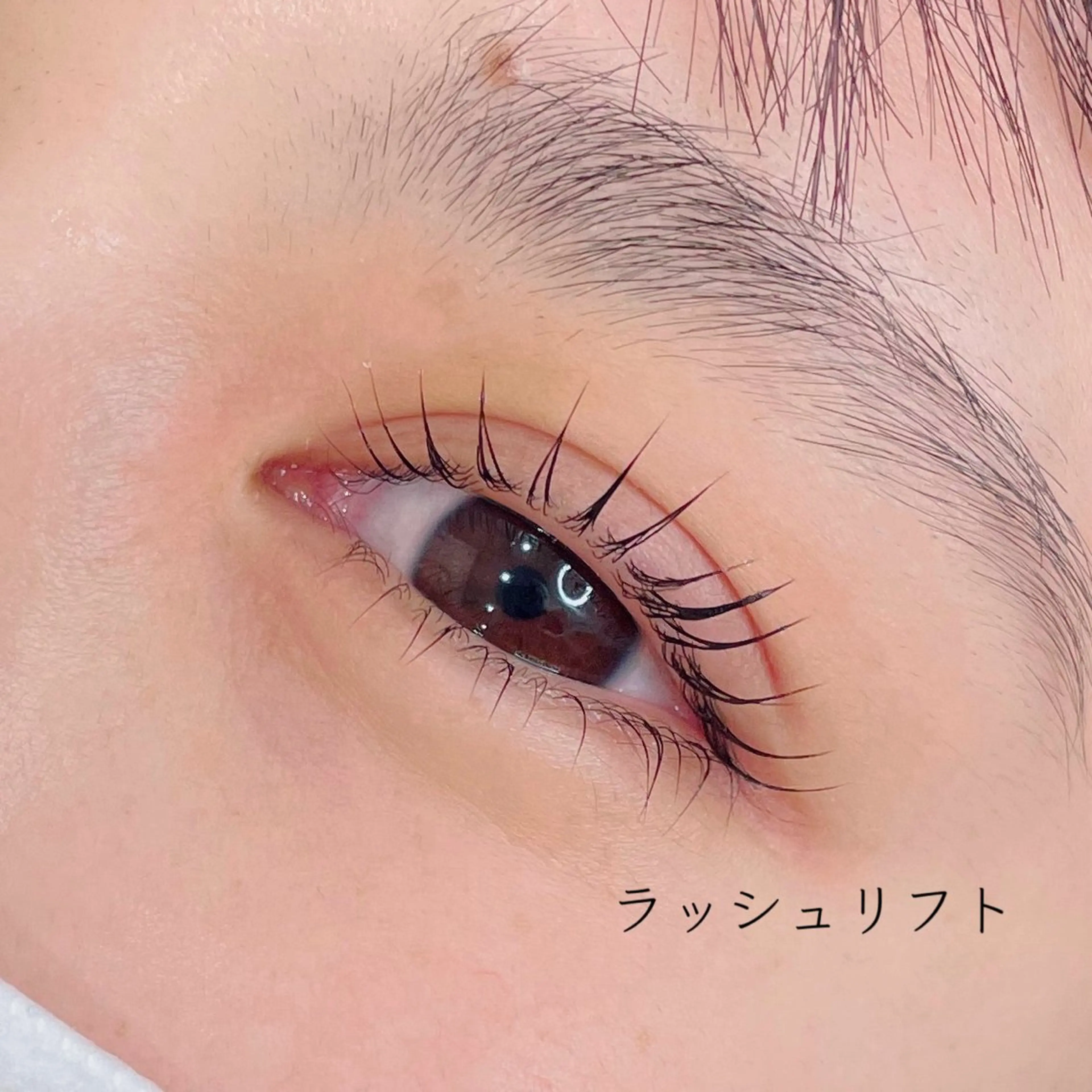 マツエク・マツパ 下まつげエクステ 一重×まつ毛パーマ men'sアイブロウ まつ毛パーマ/さちのマツエク・マツパデザイン