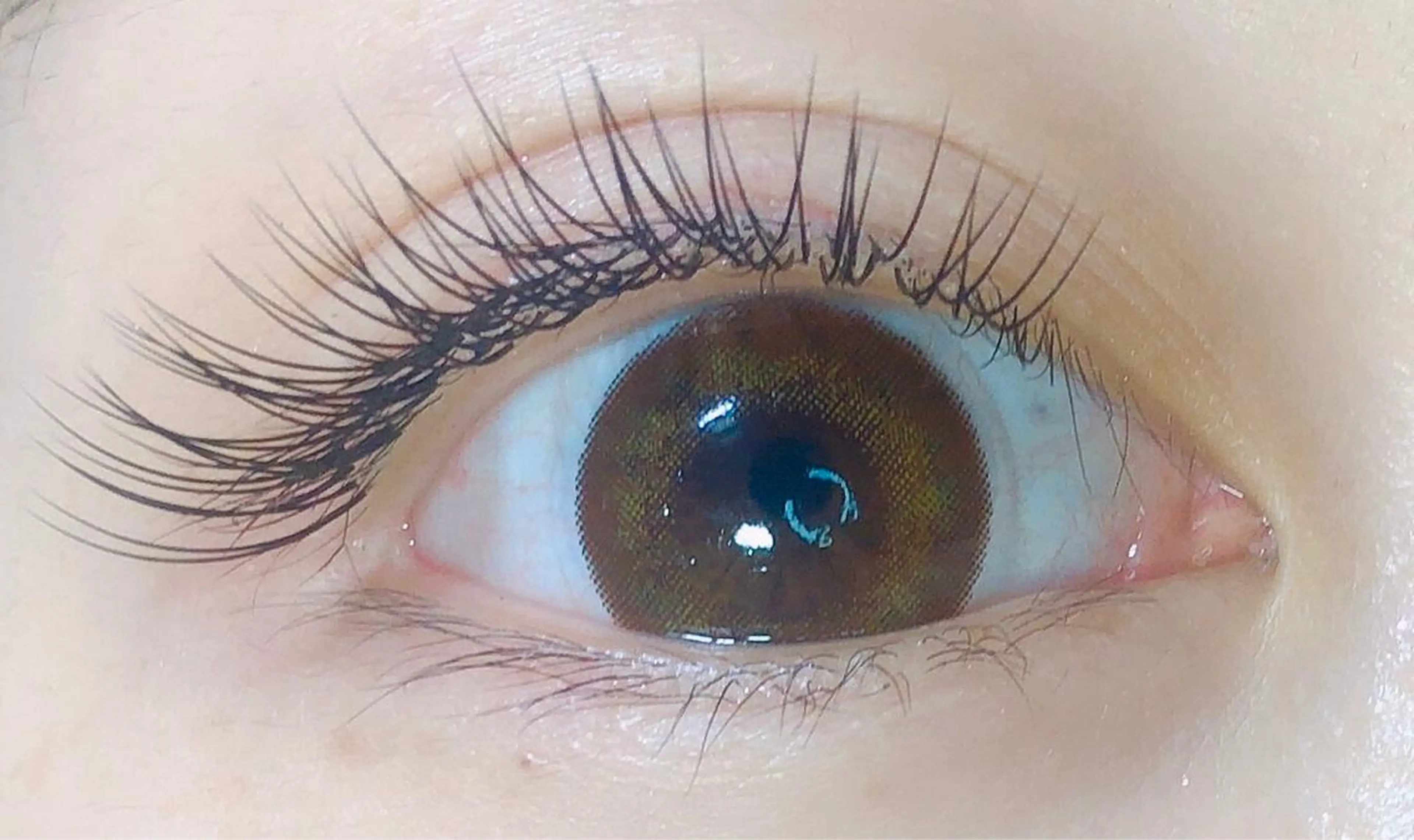 マツエク・マツパ セーブル RUBIA ルビアのマツエク・マツパデザイン