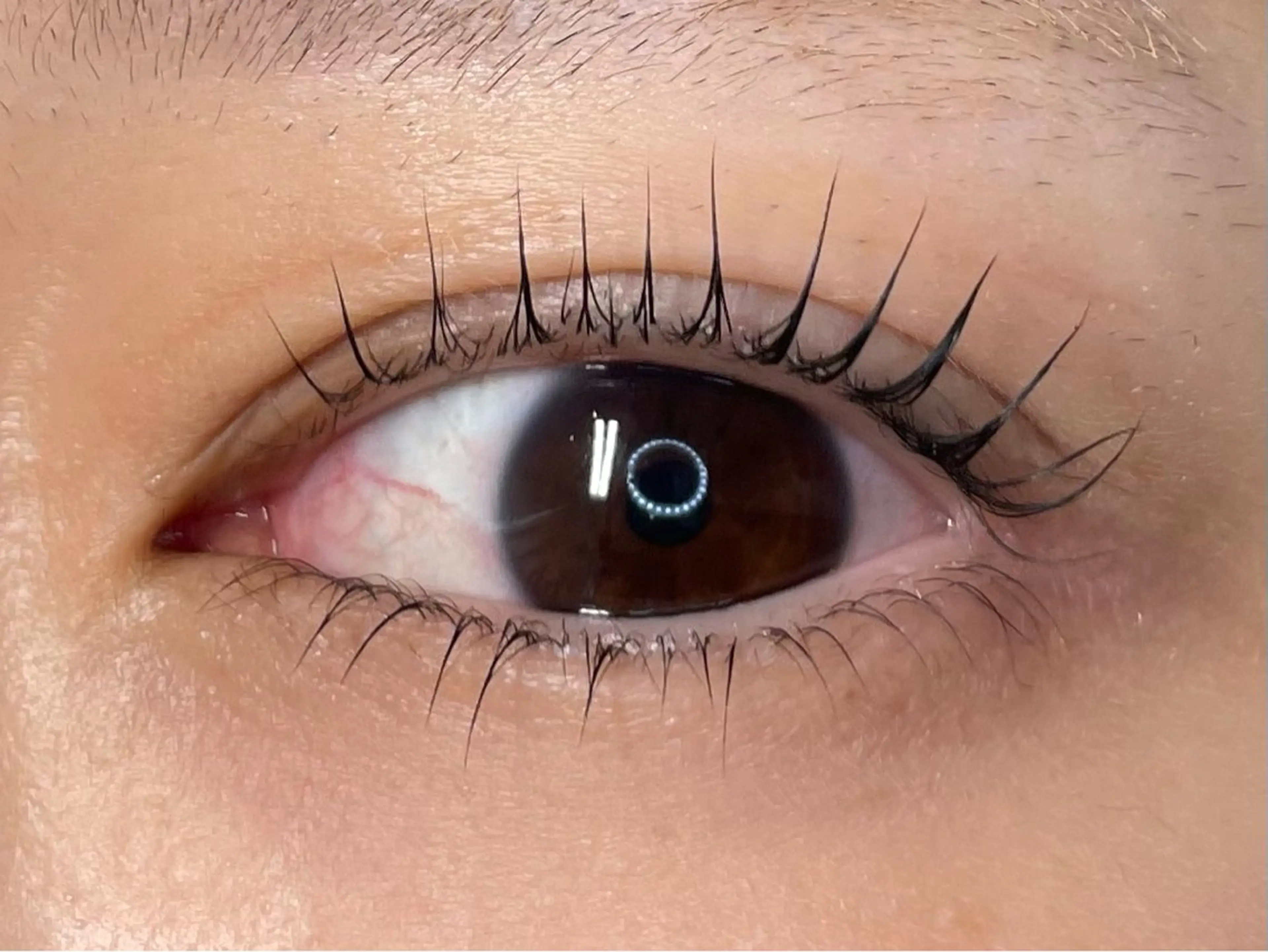 マツエク・マツパ eyelash CLAYの眉毛・アイブロウイメージ