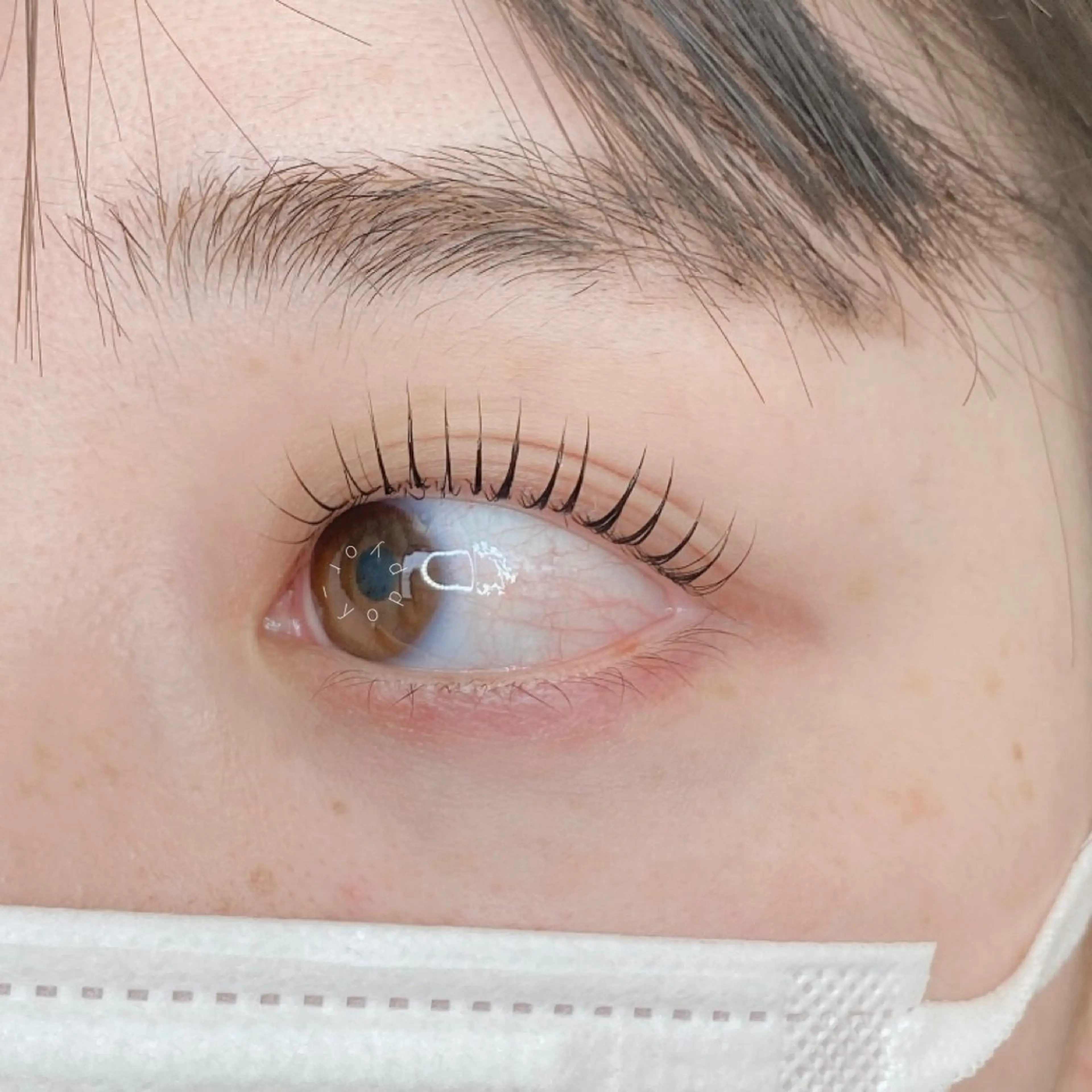 マツエク・マツパ or LATTe 仙台店のマツエク・マツパデザイン