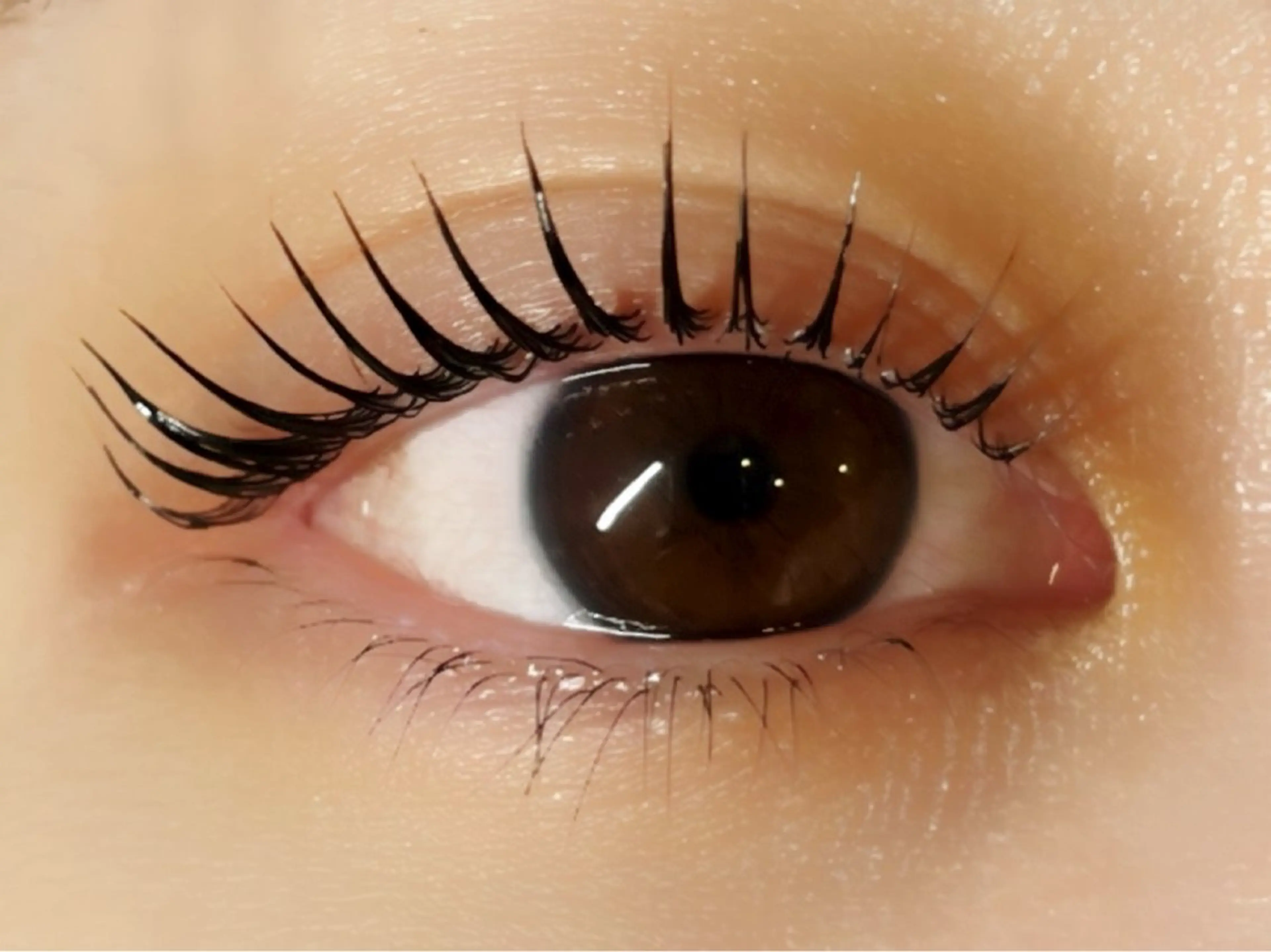 大人気🌈パリジェンヌラッシュリフトorくるんとカール➕束感コーティング付きの写真