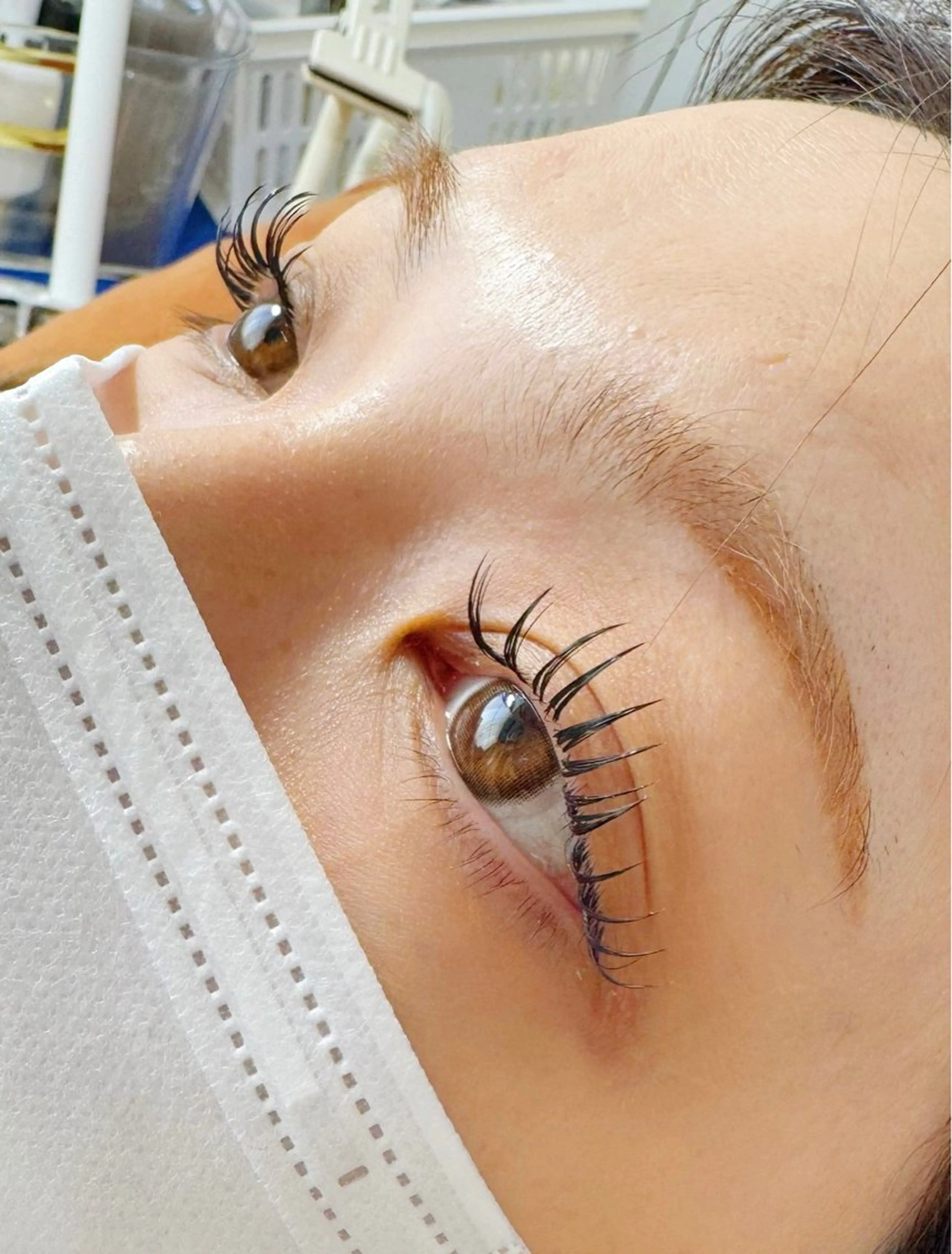 【最新技術】＆Healthy+バインドロック120束の写真