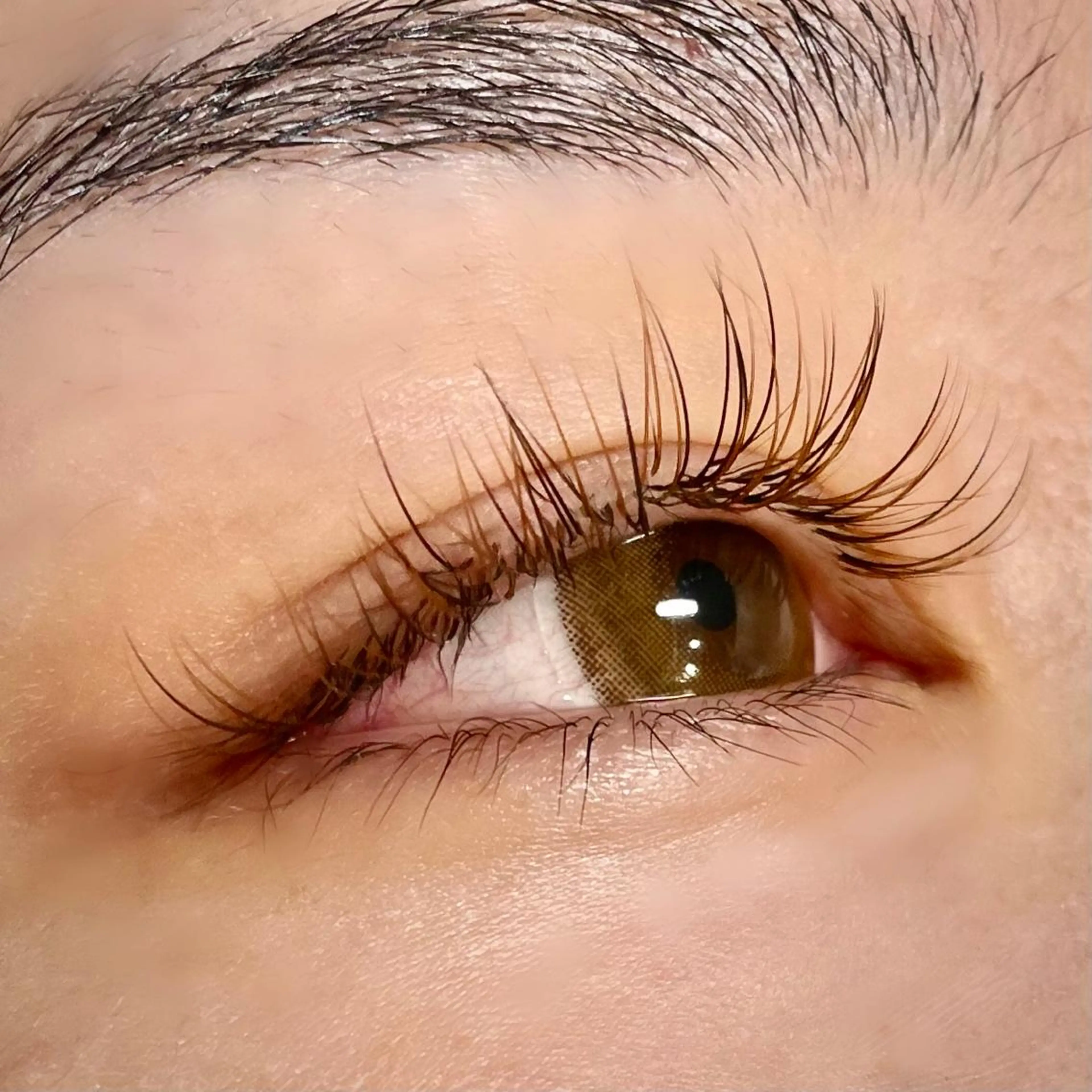 マツエク・マツパ ブラウンラッシュ カラーマツエク MAQUIA 心斎橋店　川口のマツエク・マツパデザイン