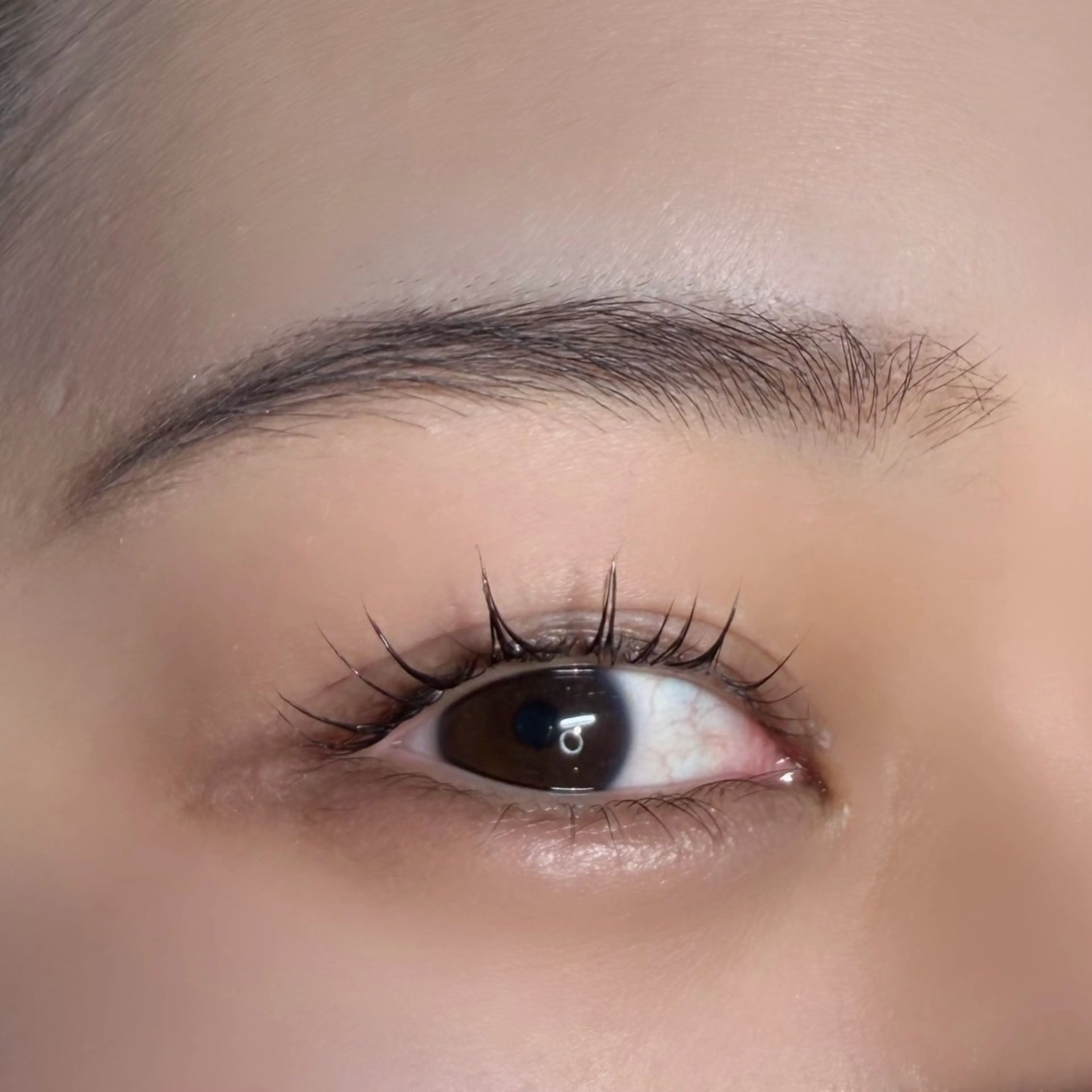 ダメージレスまつげパーマ✨️ コーティング付き✨️リピーター様の写真