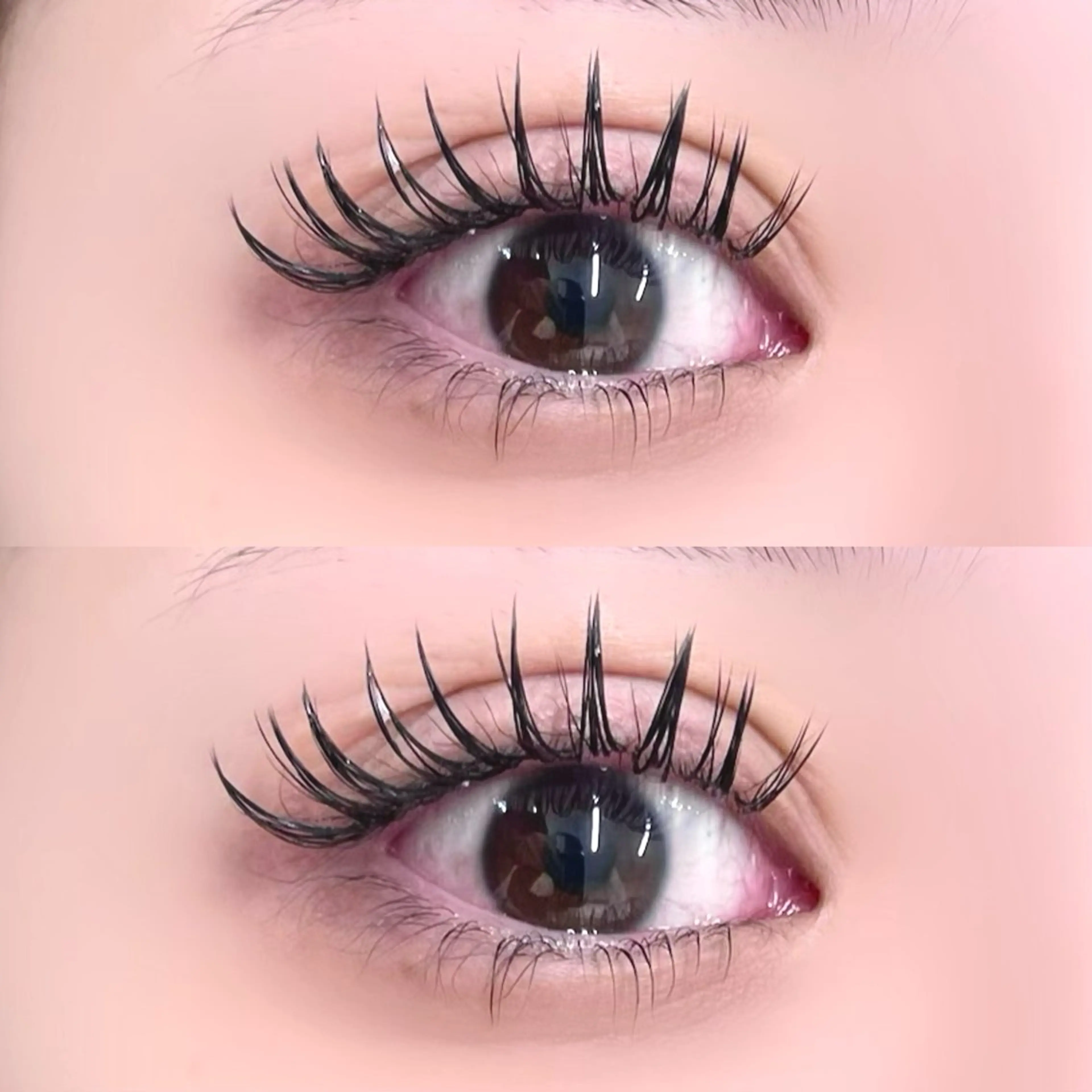 マツエク・マツパ まつげパーマ 下まつげエクステ Bianca/金町 Miyagiのマツエク・マツパデザイン