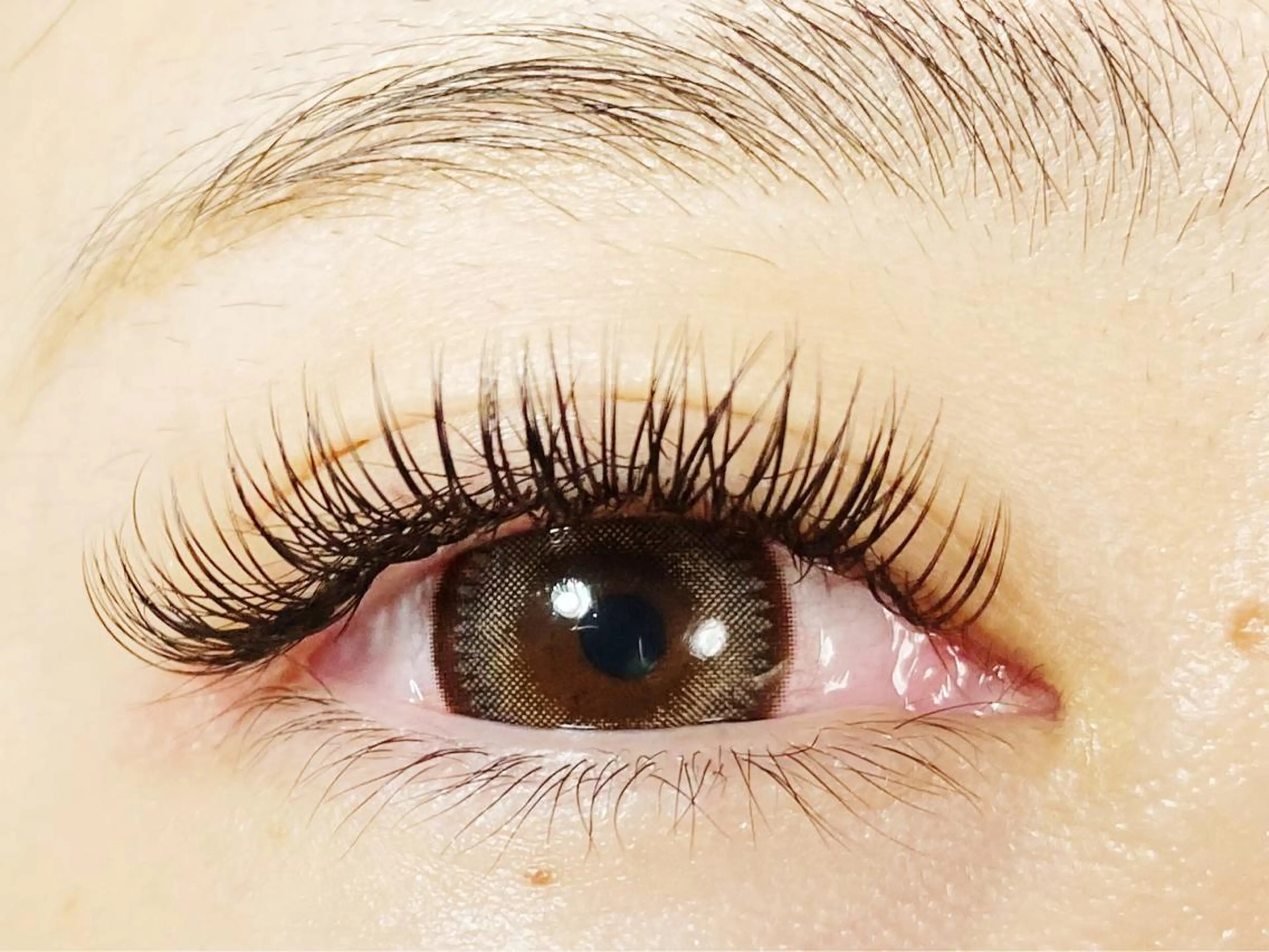 【新規】❤️持続期間1.5倍❤️ バラつかずモチがいいと好評❤️2Dエクステ 180本（オフ込み）　7900円★の写真