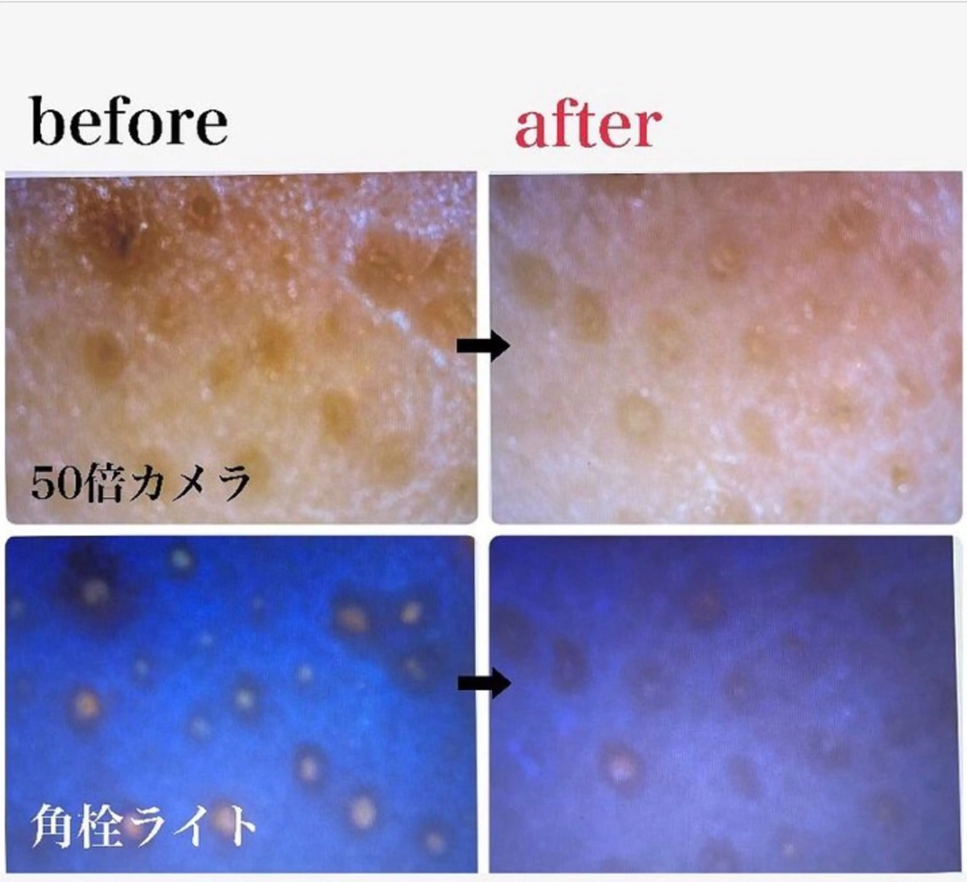 ポアレスサロンfil 中山のエステ・リラクイメージ