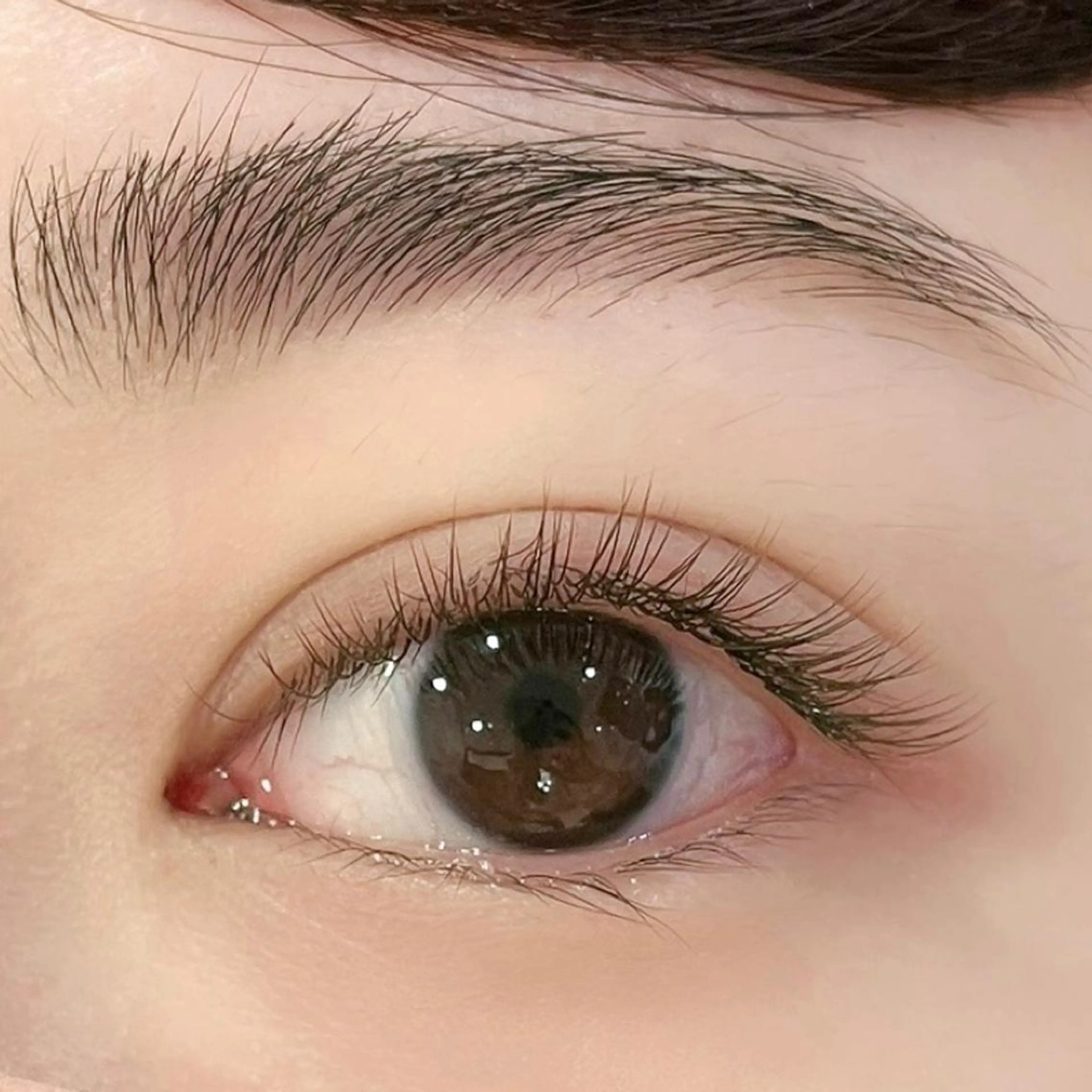 マツエク・マツパ カラーマツエク フラットラッシュ マツエク Aya Pilinaの眉毛・アイブロウイメージ