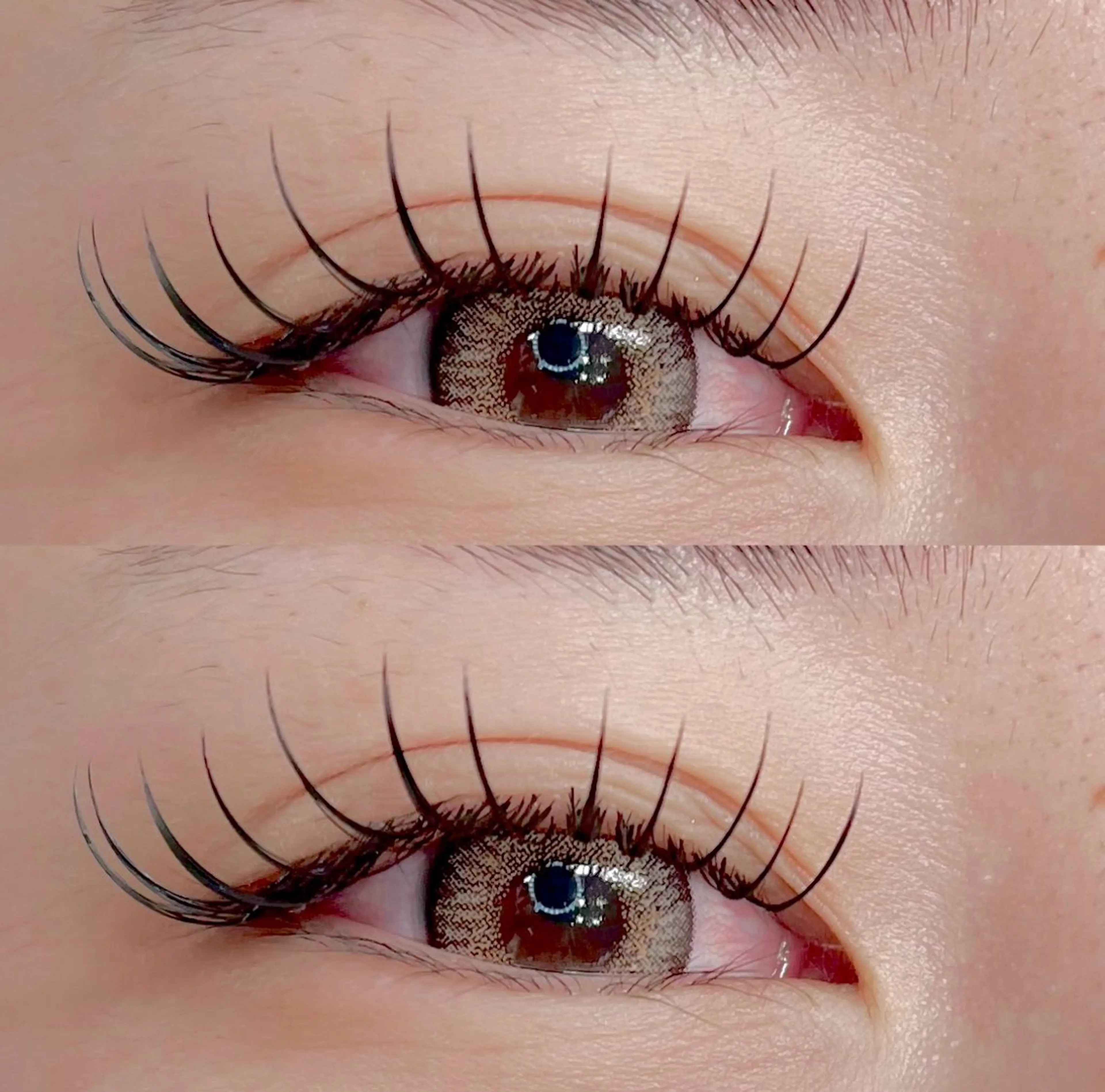 マツエク・マツパ Dカール フラットラッシュ eyelashsalon chess所属・FUYUNA🌼 マツエク/まつパのマツエク・マツパデザイン