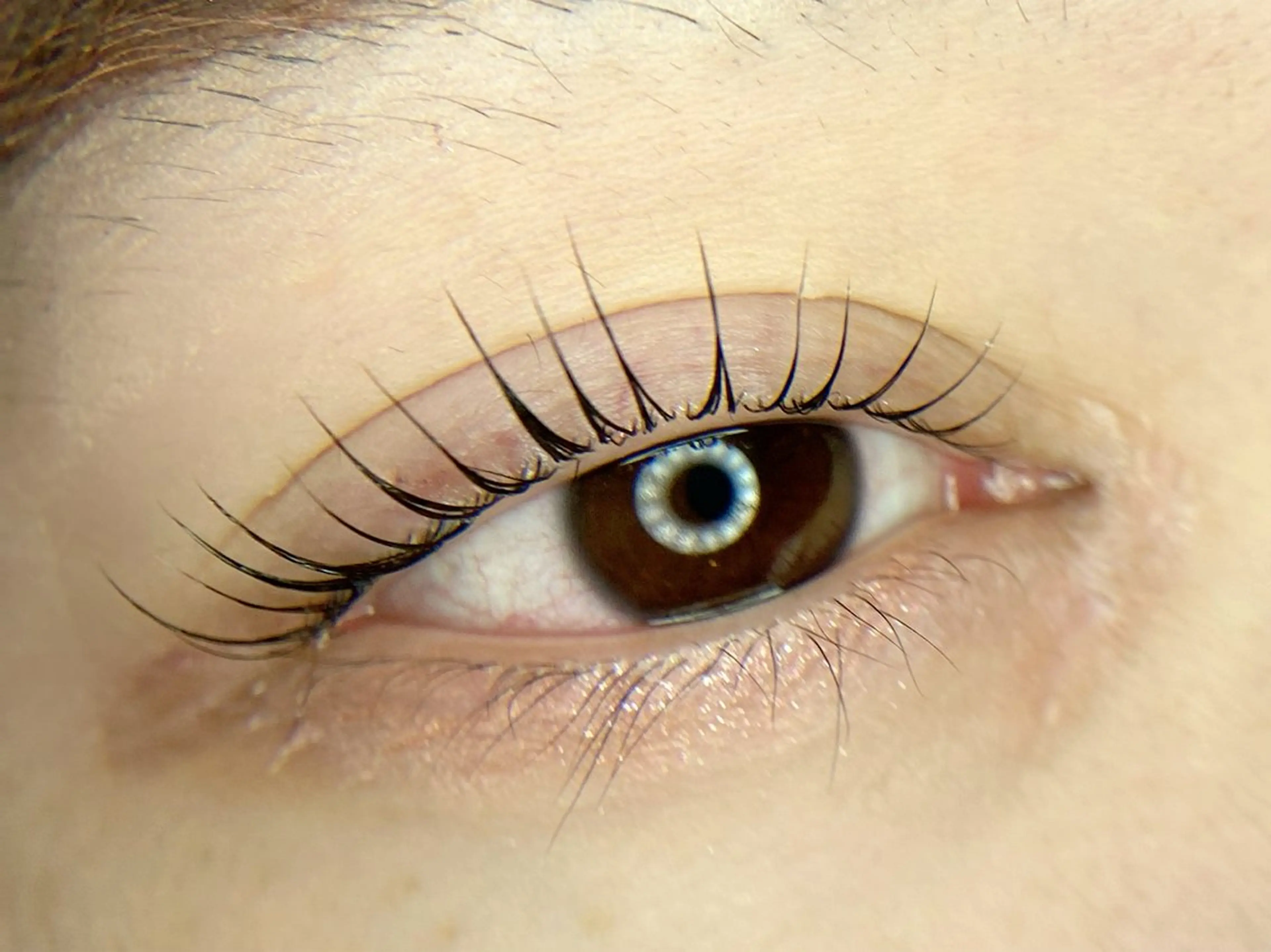 マツエク・マツパ マツパ tomte トムテのマツエク・マツパデザイン