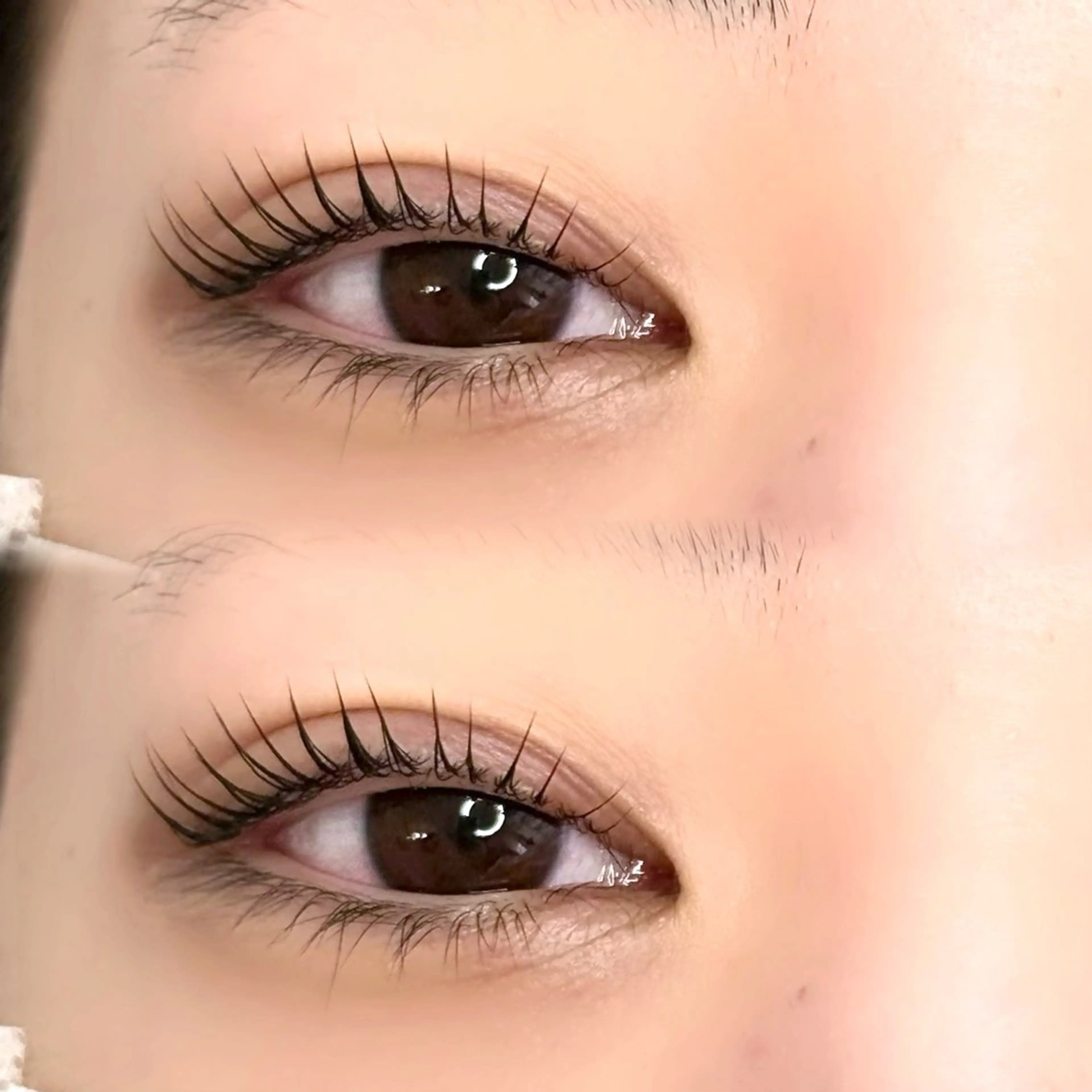 マツエク・マツパ マツパ 由寿| まつパモデル募集中✨のマツエク・マツパデザイン