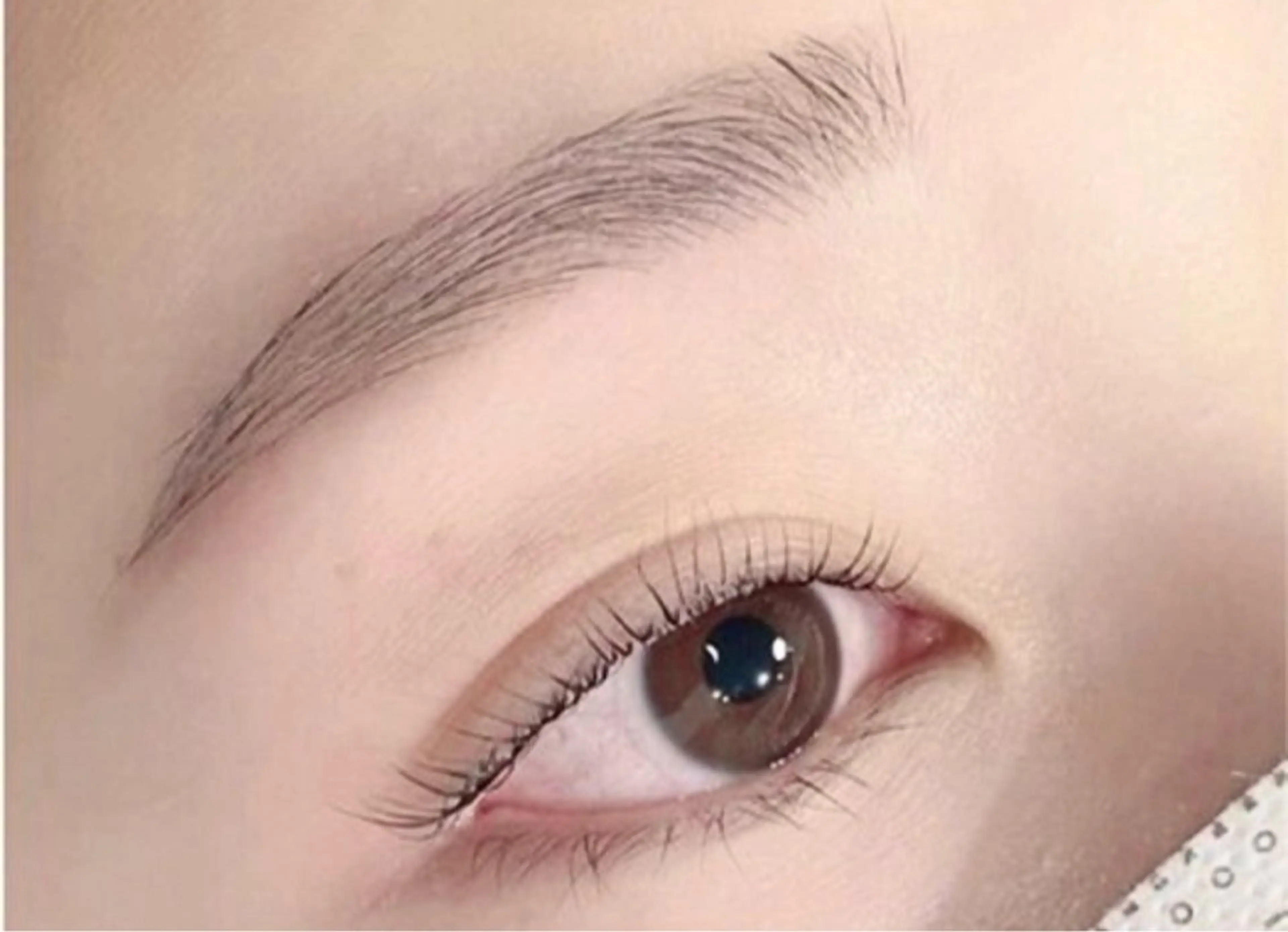 アイブロウ 眉毛ワックス脱毛 🩰Misaki🦢 🪞のマツエク・マツパデザイン