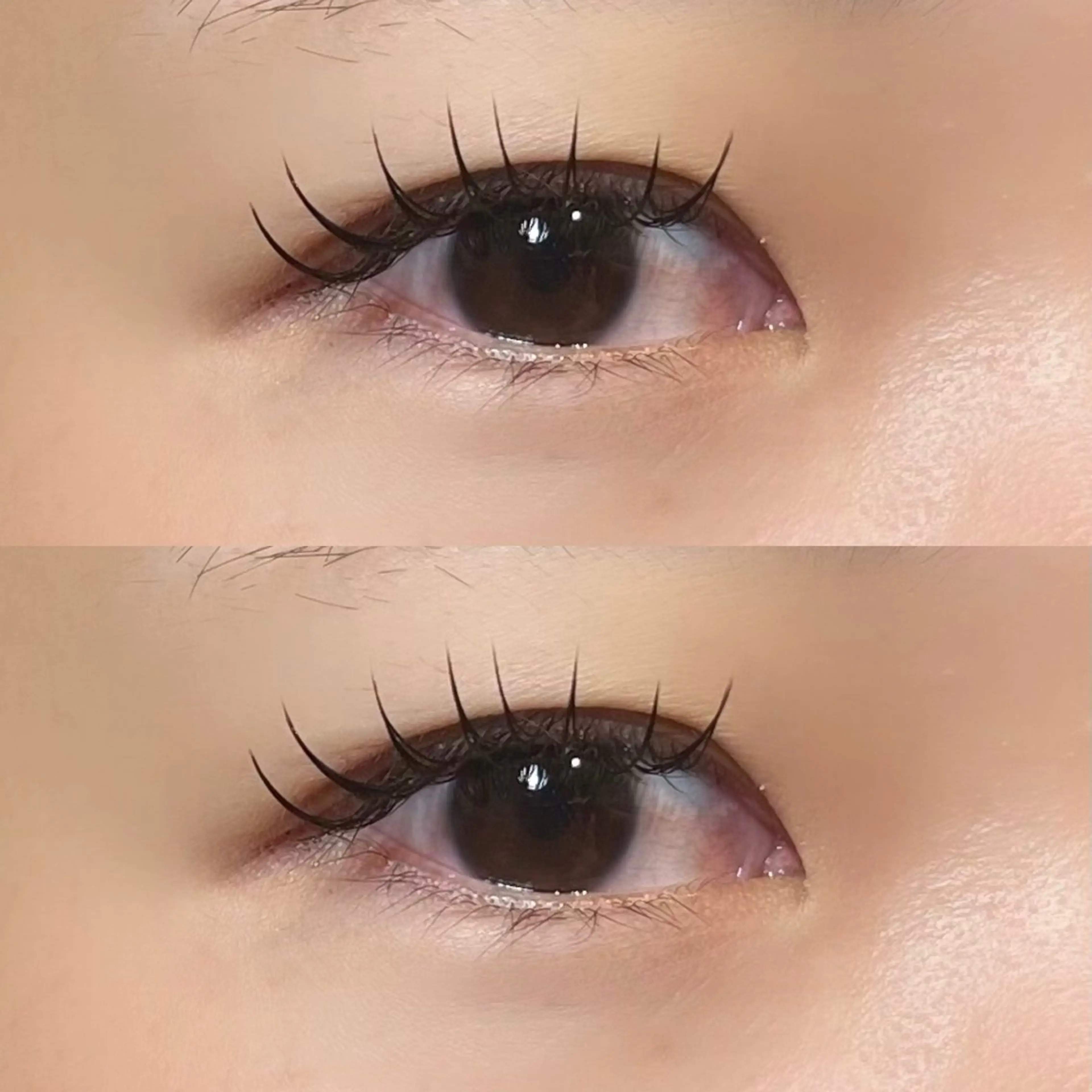 マツエク・マツパ 𝒆𝒊𝒈𝒉𝒕 杏花のマツエク・マツパデザイン