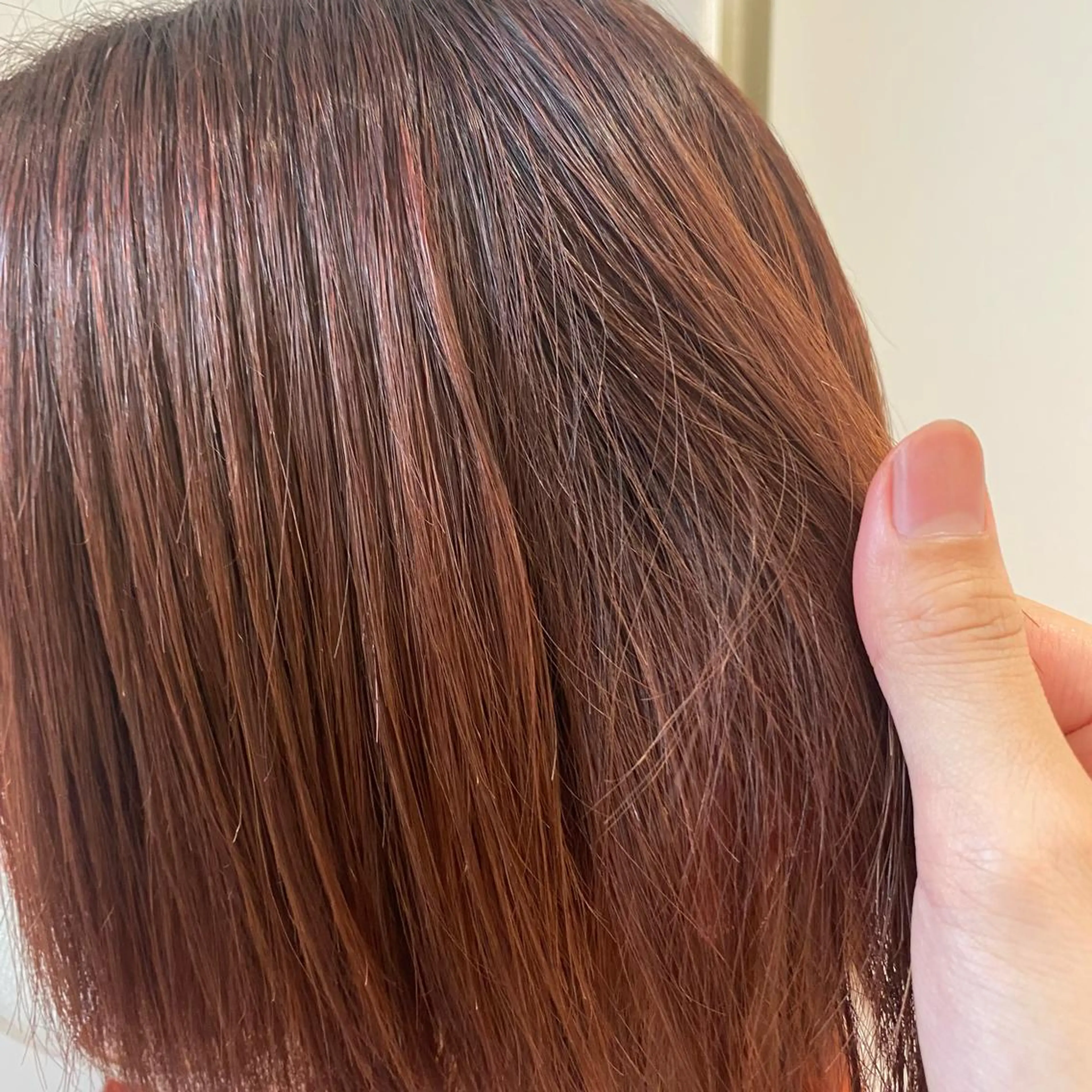 ショート カラー ブラウンカラー カット ヘアカラー Seymour  and    Sons所属・🌷Asuka /レイヤーカット🌷のヘアスタイル