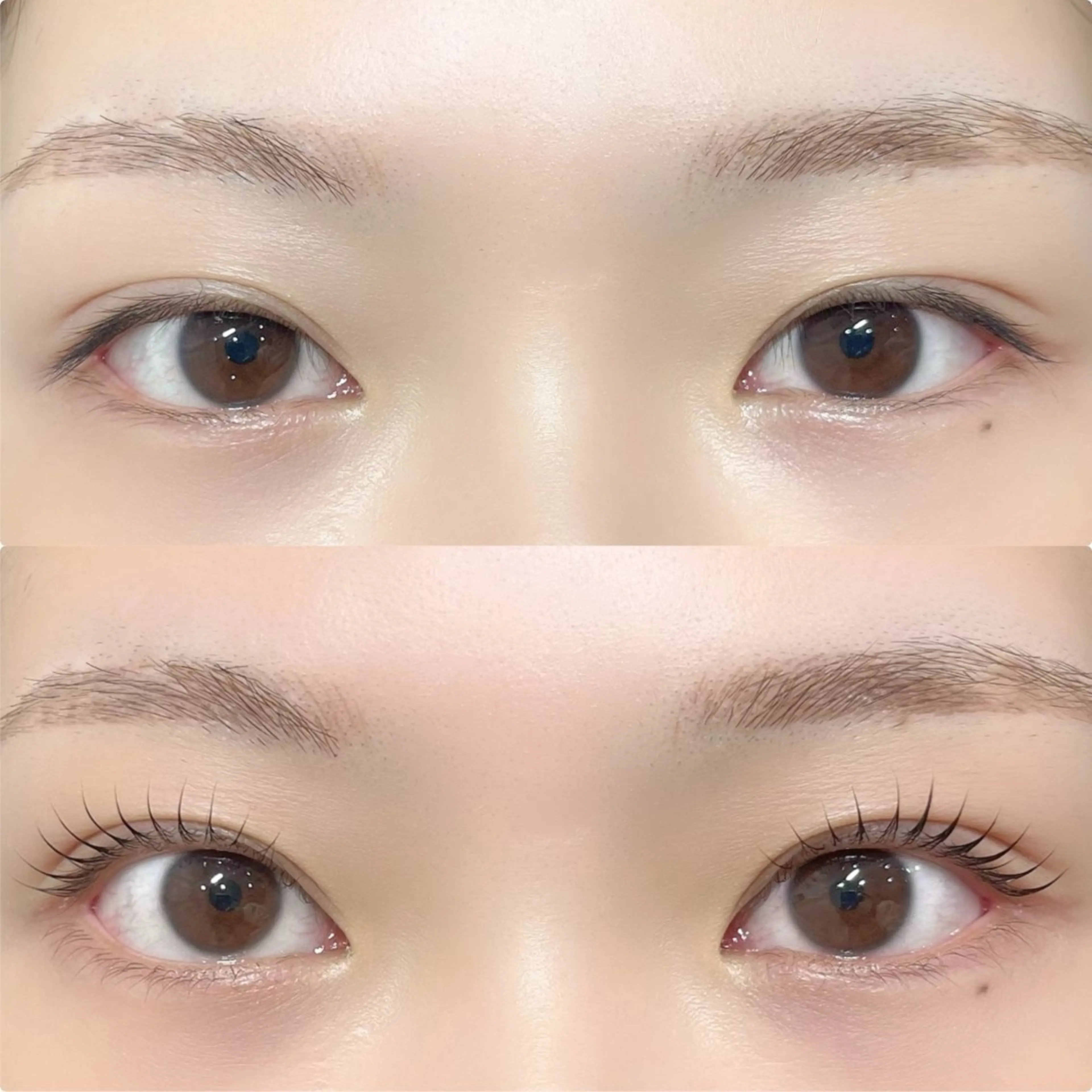 マツエク・マツパ マツパ 🪸似合わせ/お悩み 解決🪸しもだのマツエク・マツパデザイン