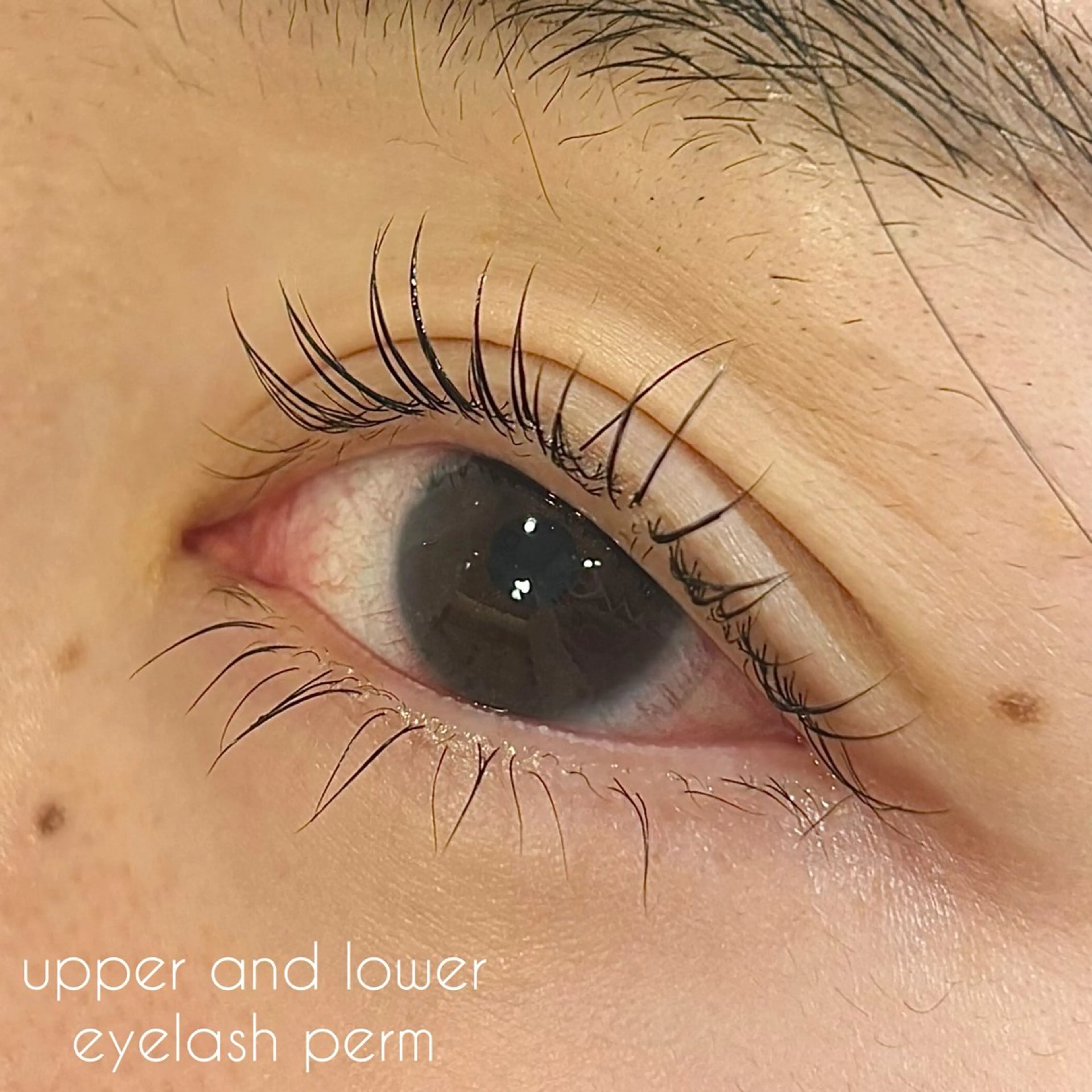 マツエク・マツパ パリジェンヌラッシュリフト ✧elpatio✧︎ 小出紗羅のマツエク・マツパデザイン