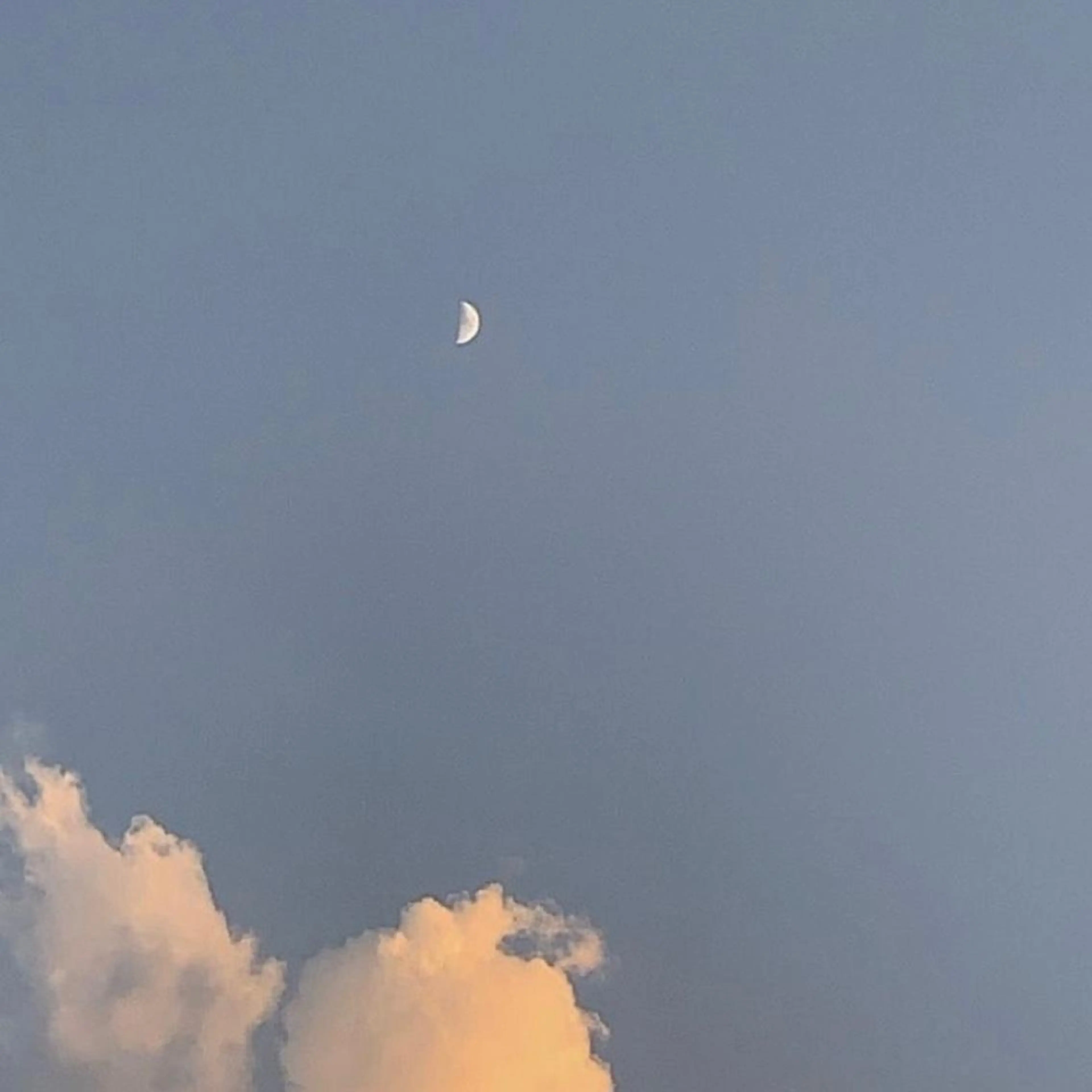 ∴Sanae. ∴ トータルビューティーのマツエク・マツパデザイン