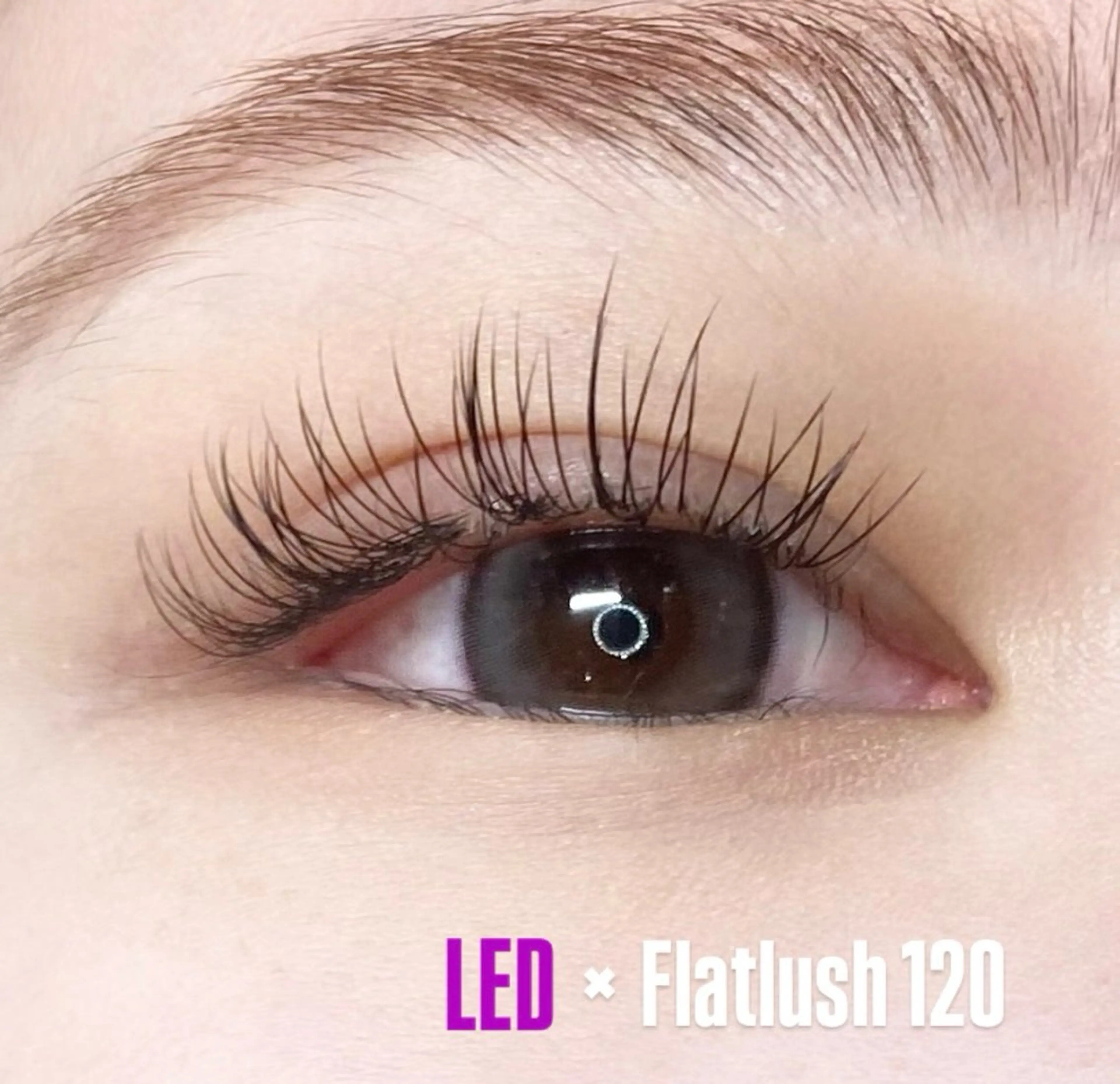 マツエク・マツパ LEDエクステ専門店 Fedis 京橋のマツエク・マツパデザイン