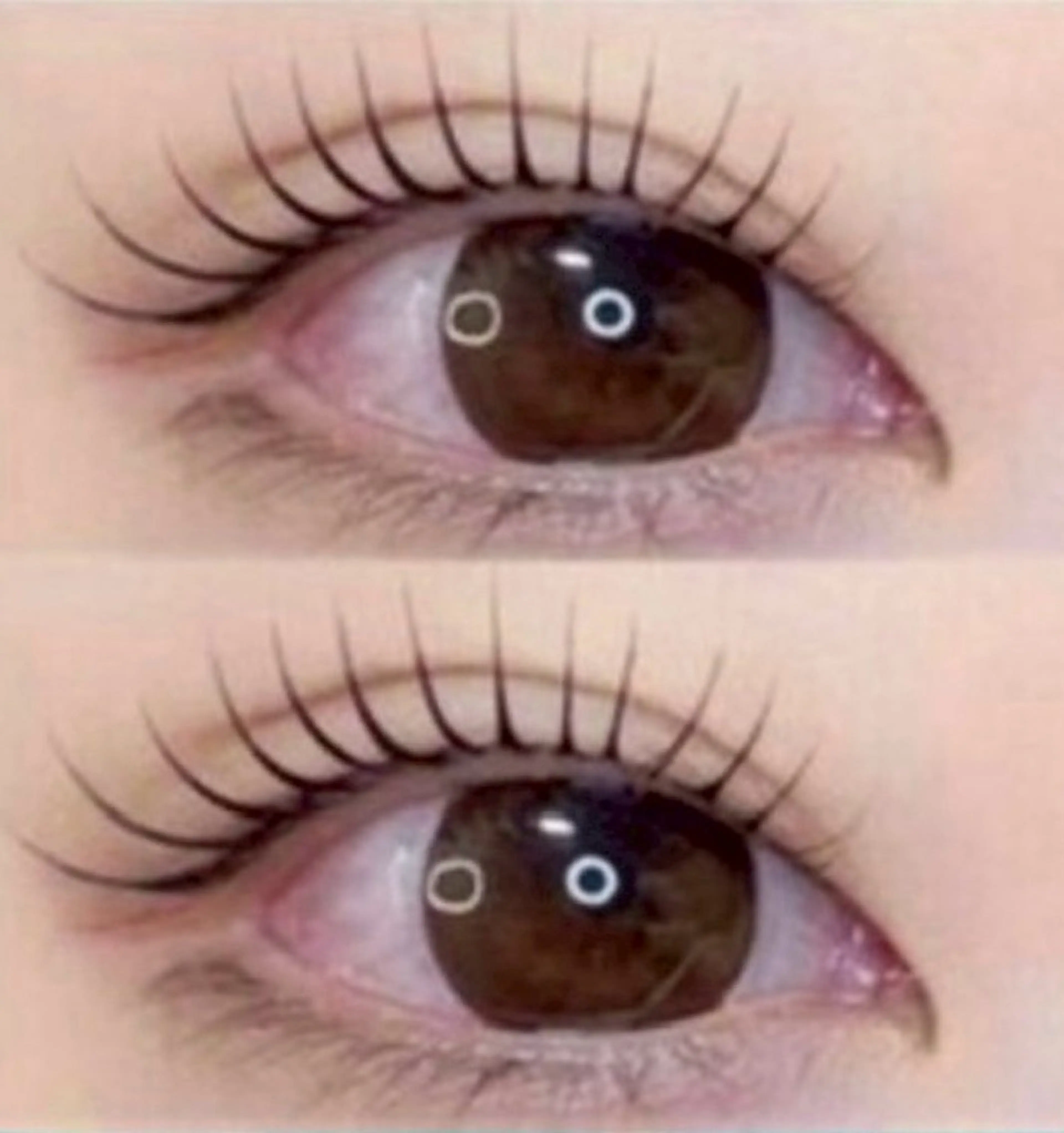 ✨️🩶メーテルラッシュリフト🩶✨️の写真