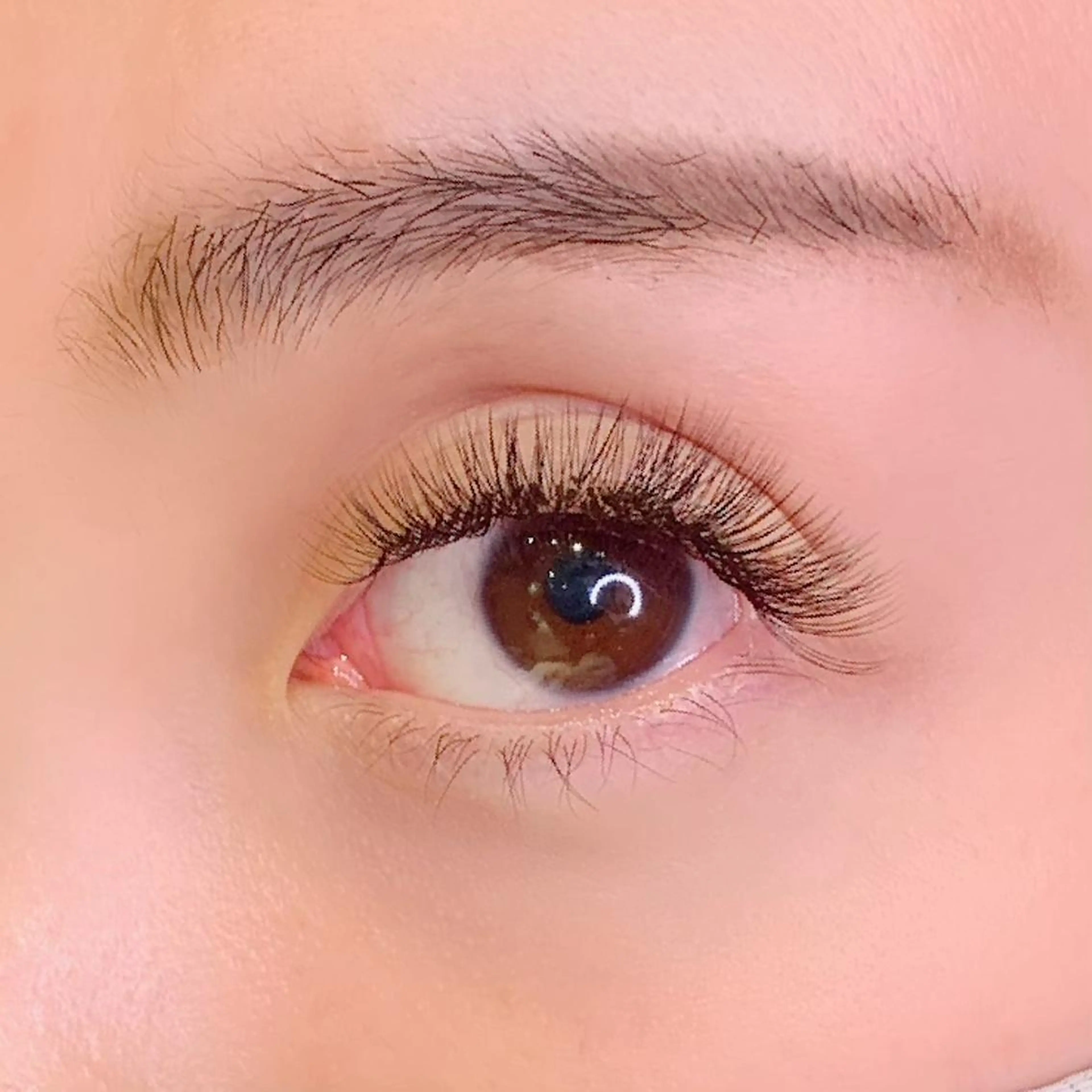 Volume lash (黒or茶)100束=400本保証の写真