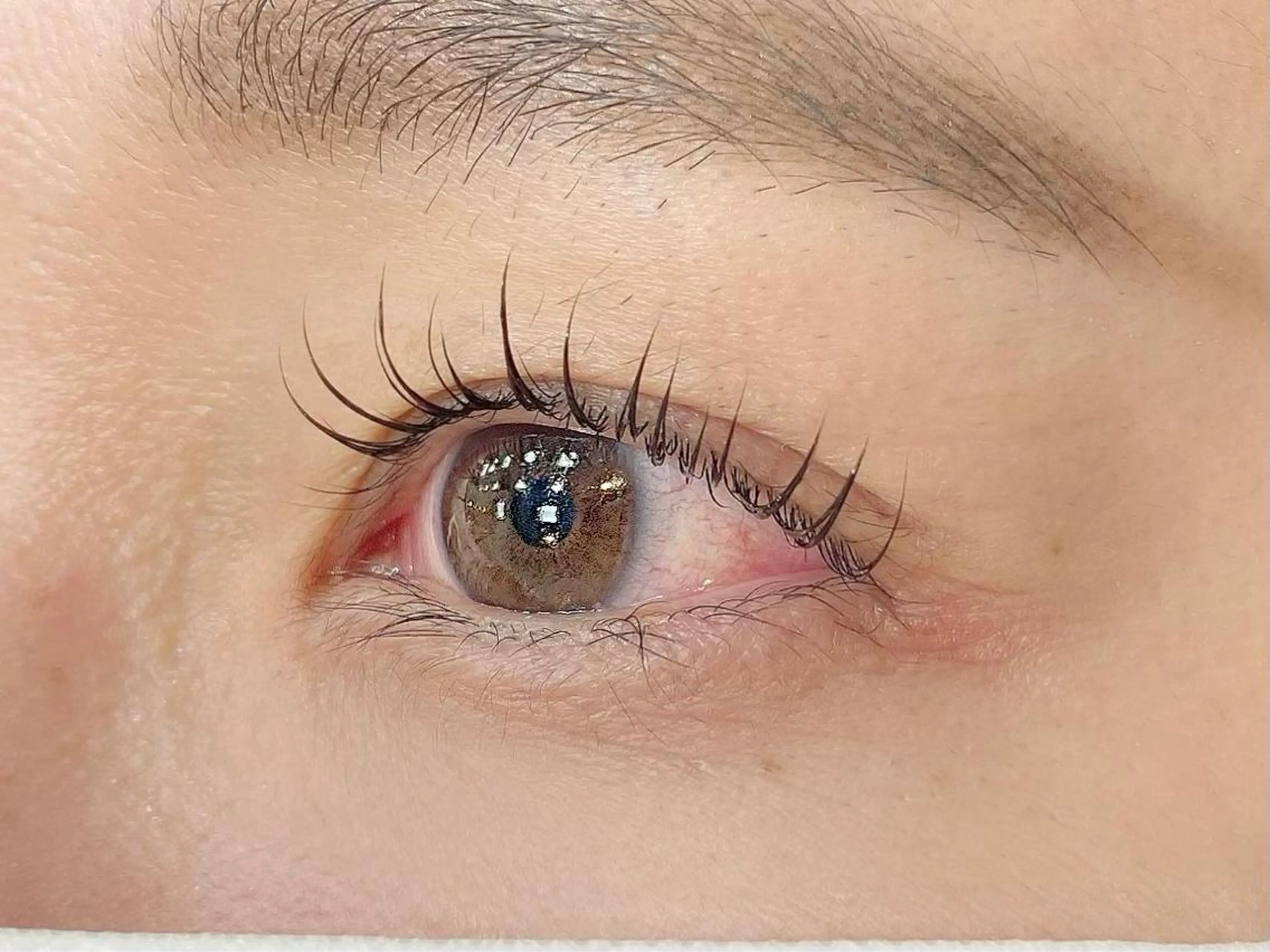 マツエク・マツパ アルターエクラ 飯島のマツエク・マツパデザイン