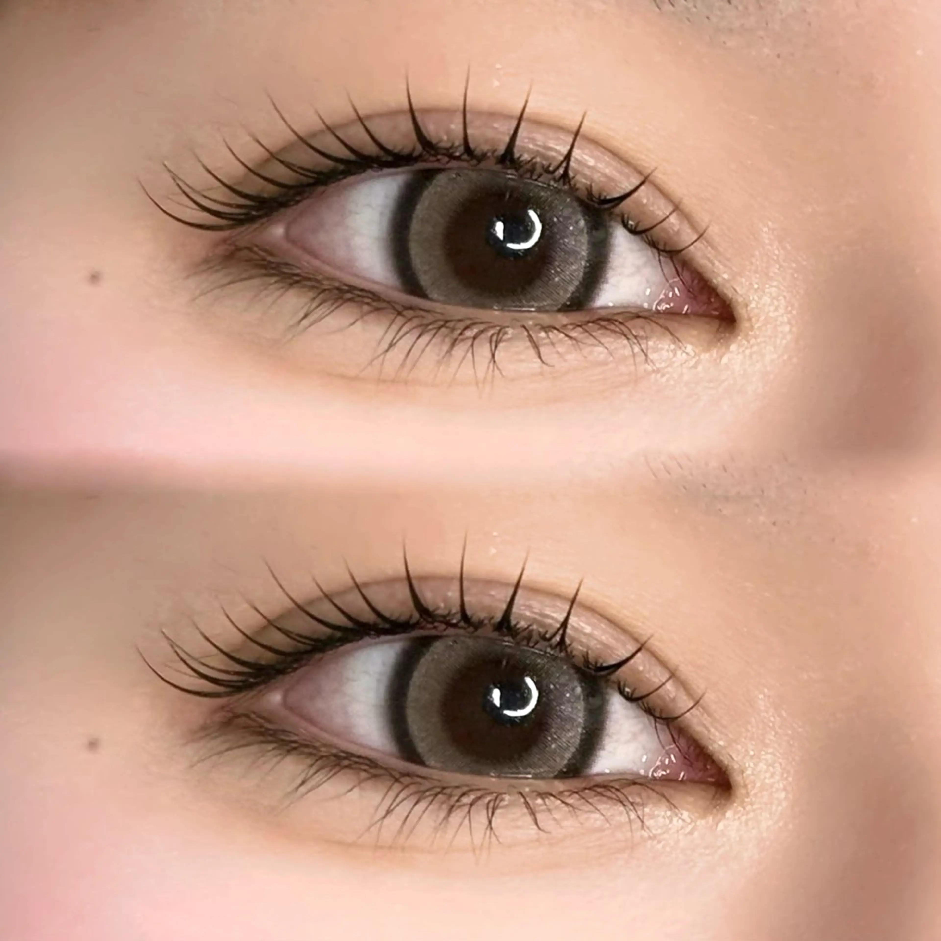 【2回目以降の方】まつ毛パーマ　上のみの写真