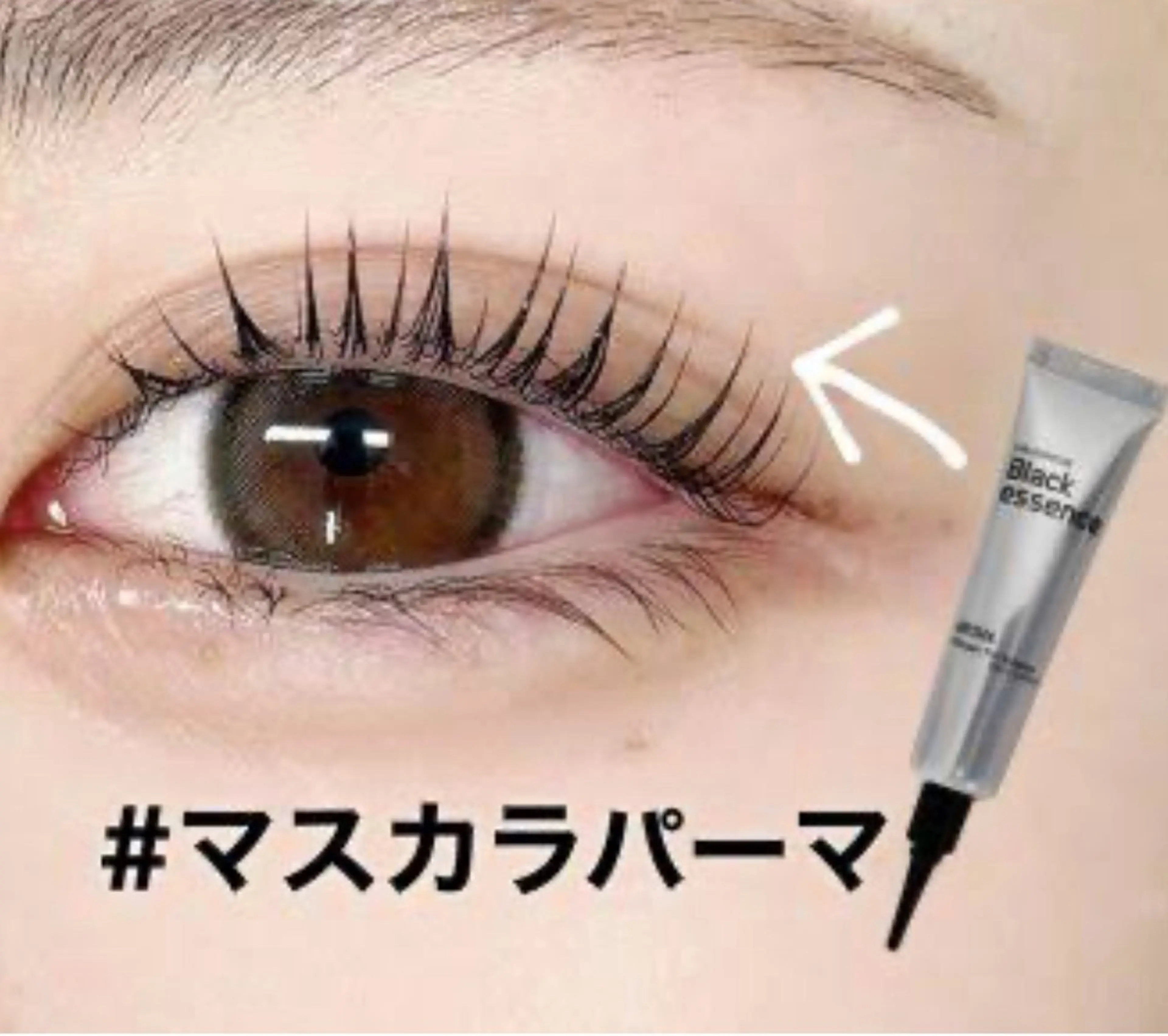 マスカラパーマ(まつ毛ティント)の写真