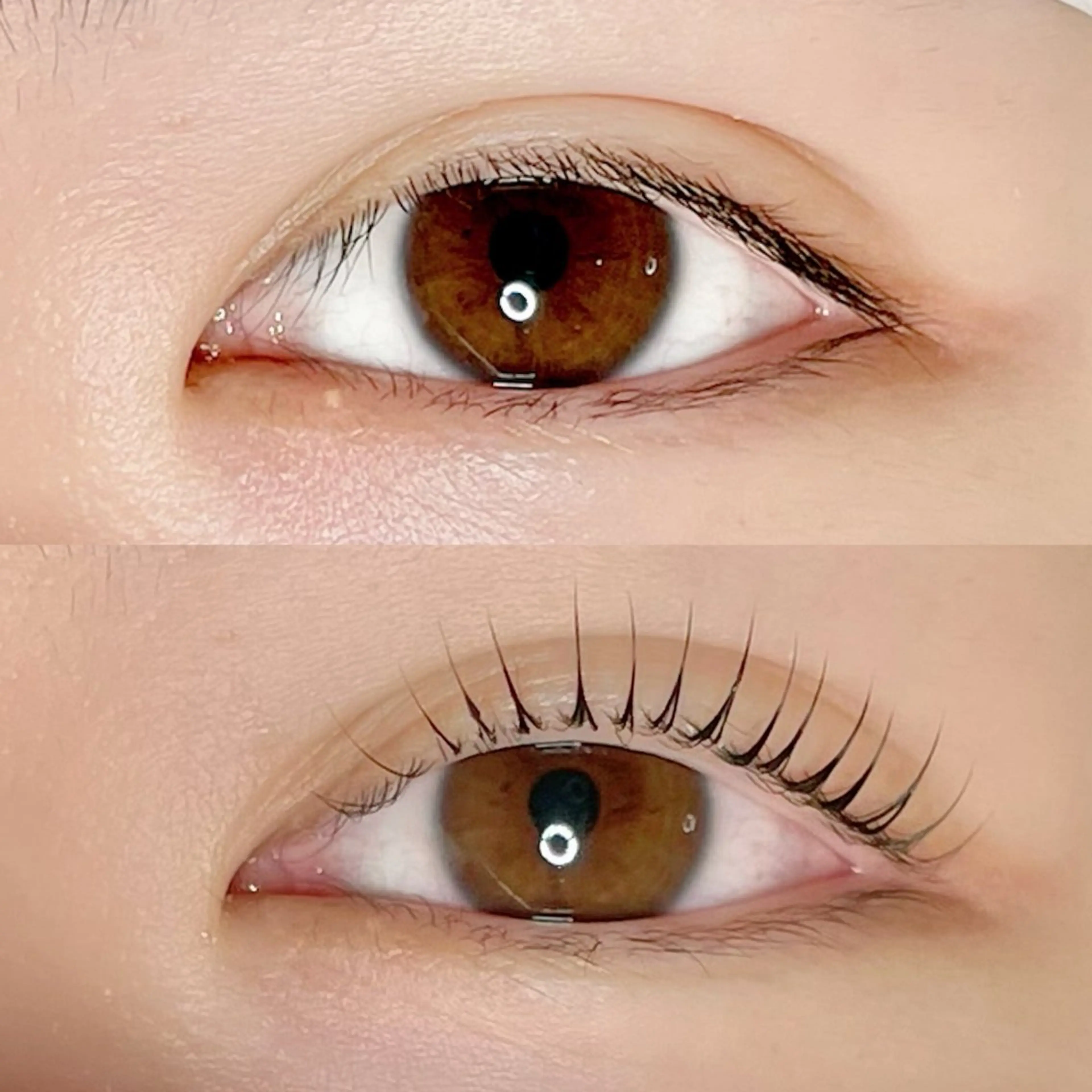 マツエク・マツパ マツパ AYLASH🧡 猪又のマツエク・マツパデザイン