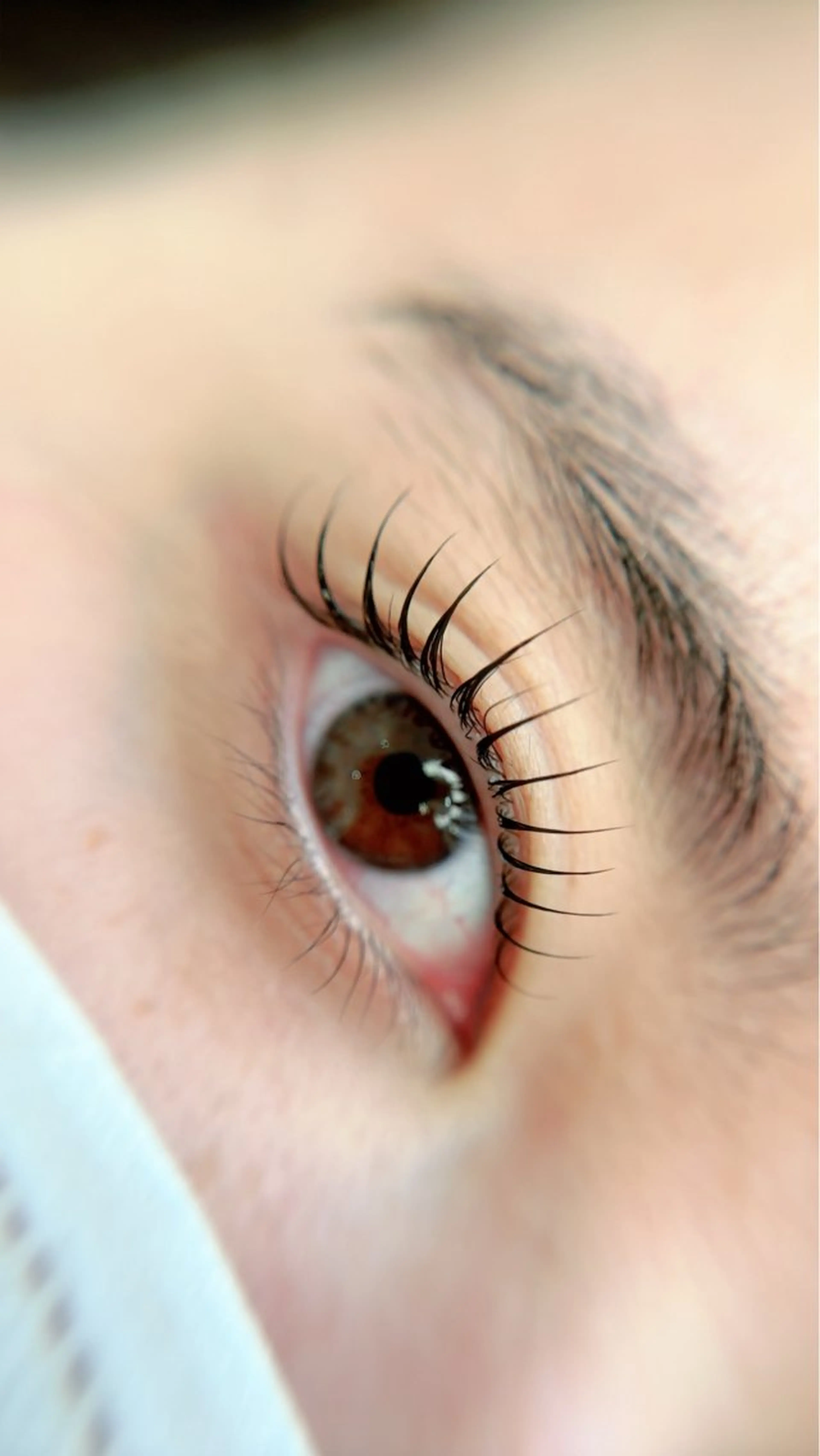 マツエク・マツパ Maile leaf 【マイレリーフ】のマツエク・マツパデザイン