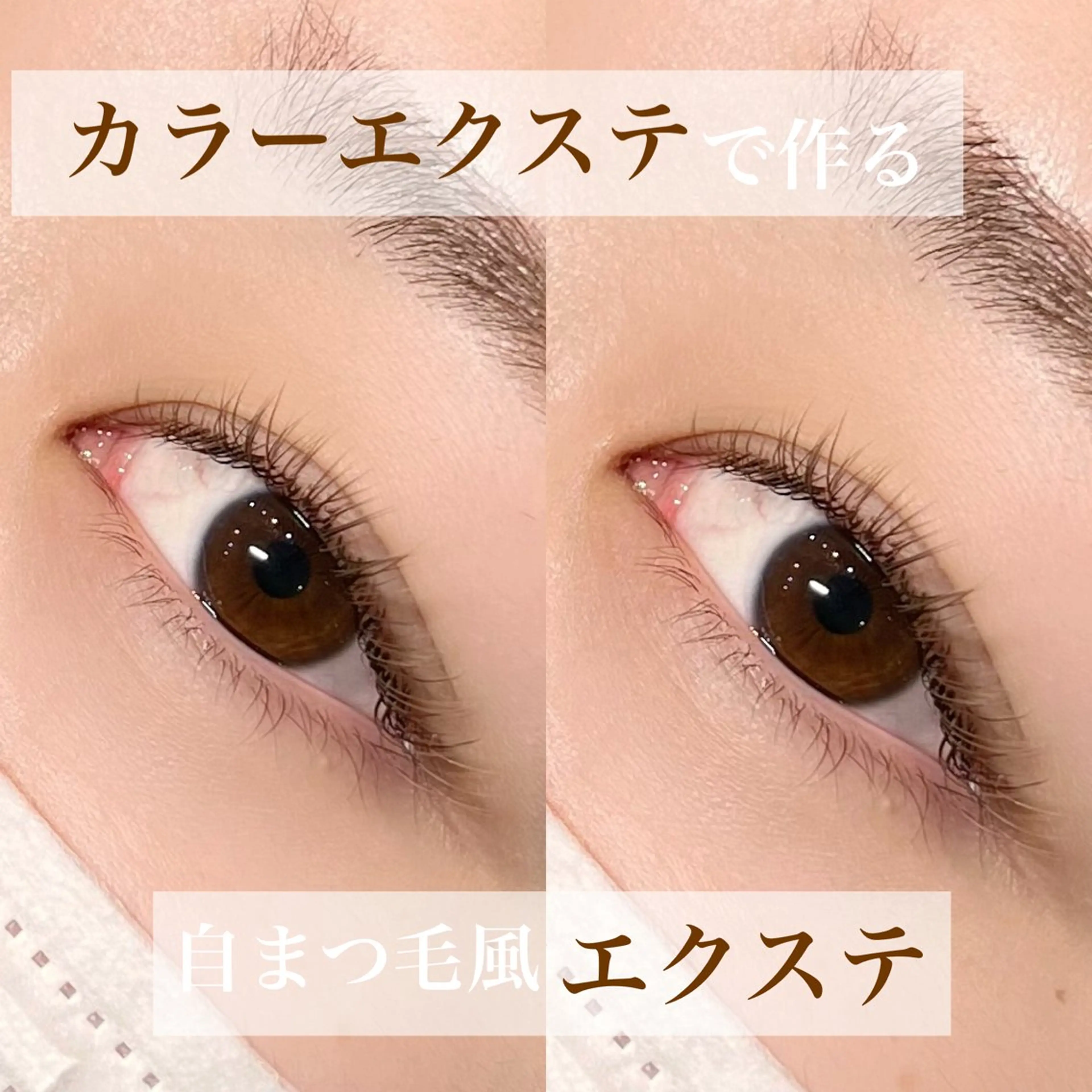 マツエク・マツパ 谷本望 /宝塚eyelashの眉毛・アイブロウイメージ