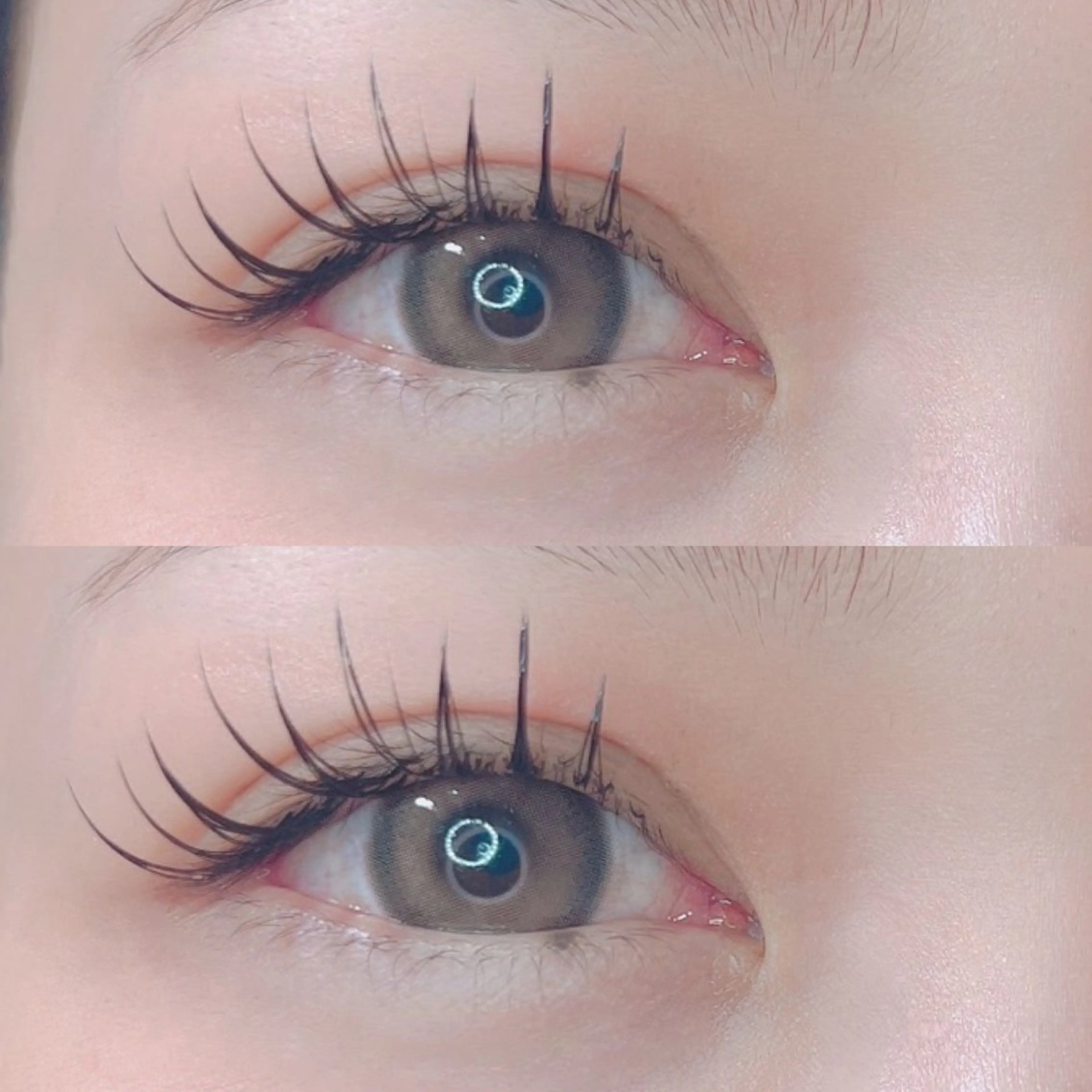 マツエク・マツパ バインドロック Dカール トータルビューティー サロンSalaのマツエク・マツパデザイン