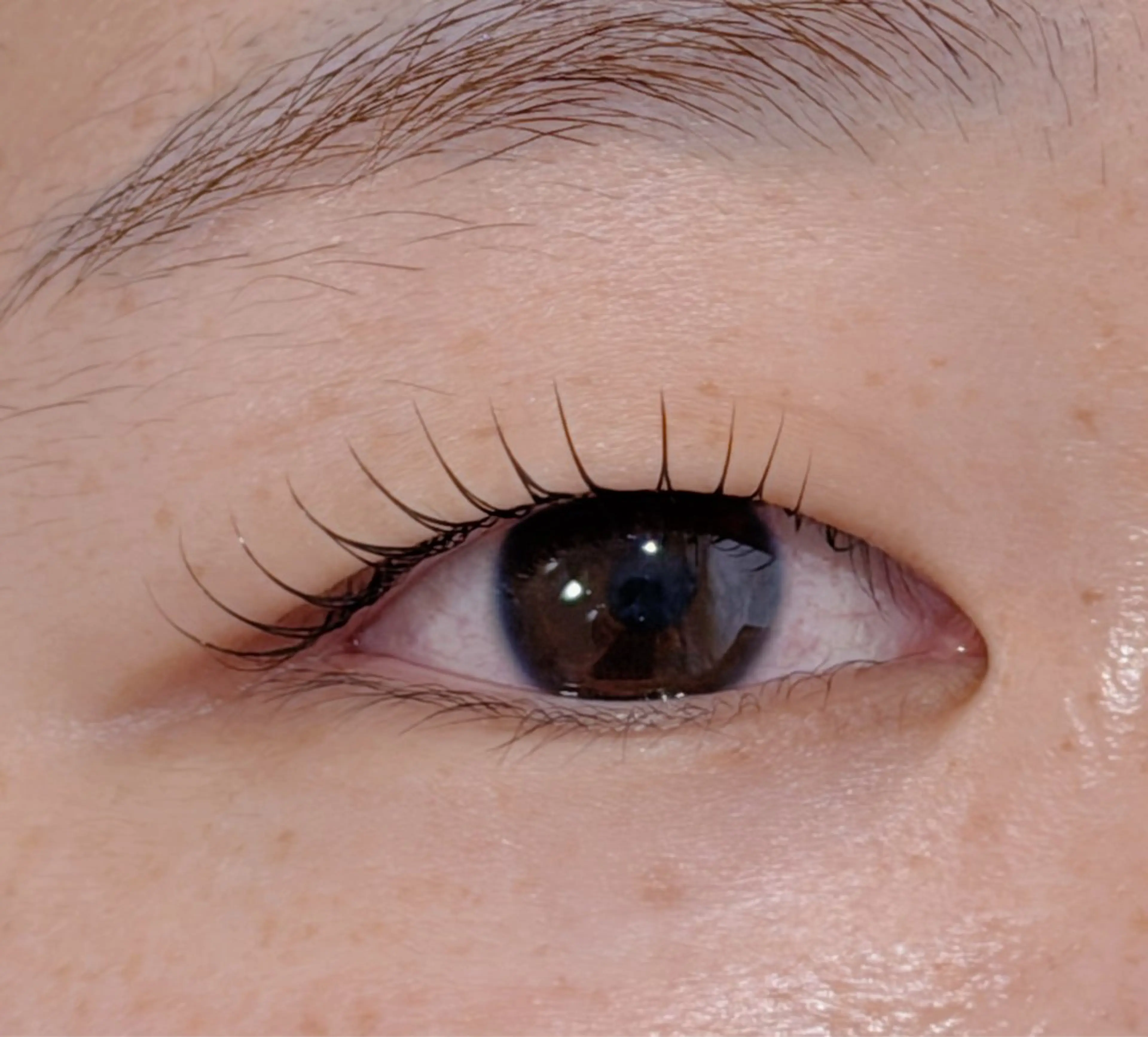 マツエク・マツパ 一重×まつ毛パーマ Lil by Fan. 菊池のマツエク・マツパデザイン