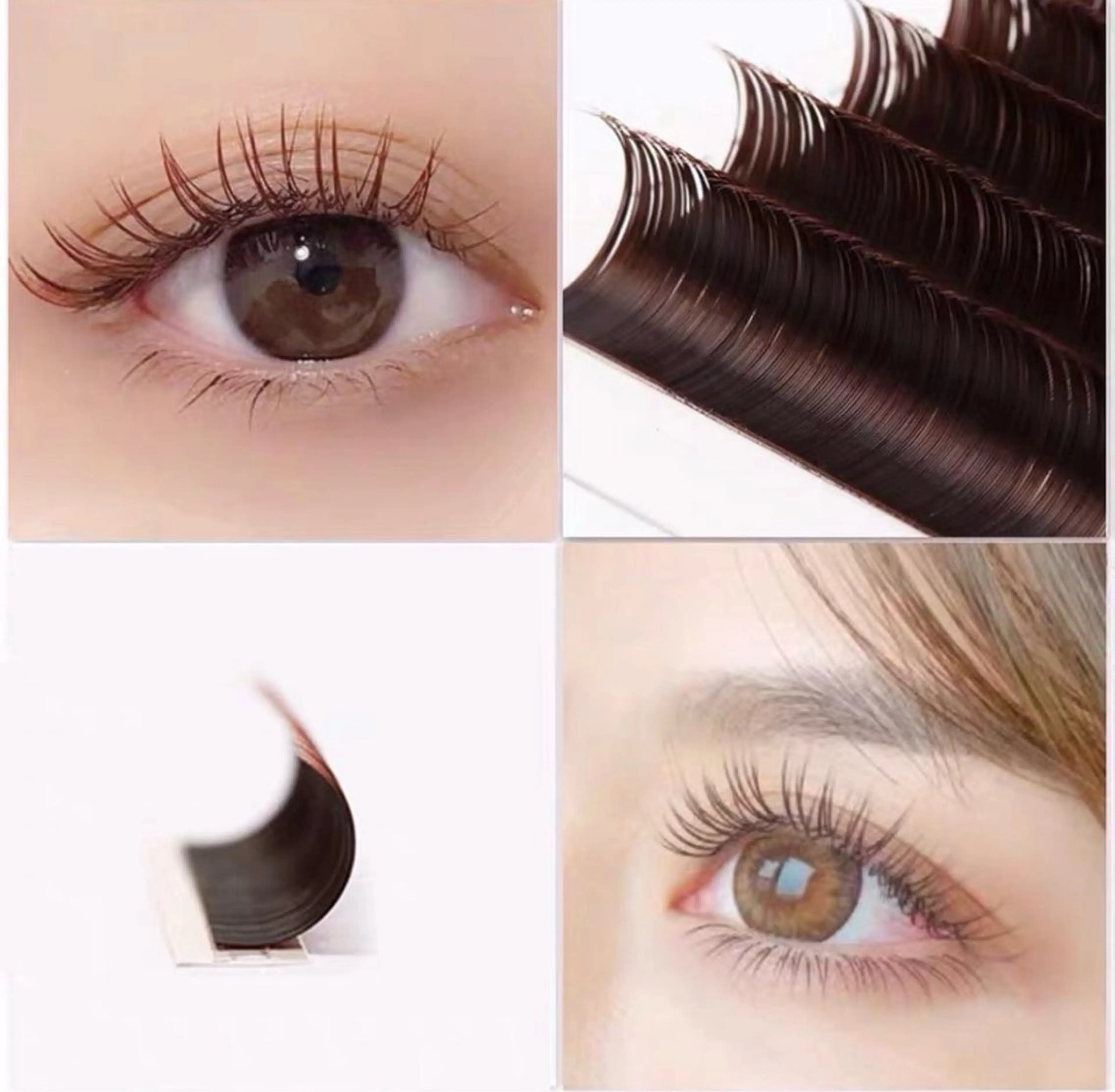 フラットラッシュ120本の写真