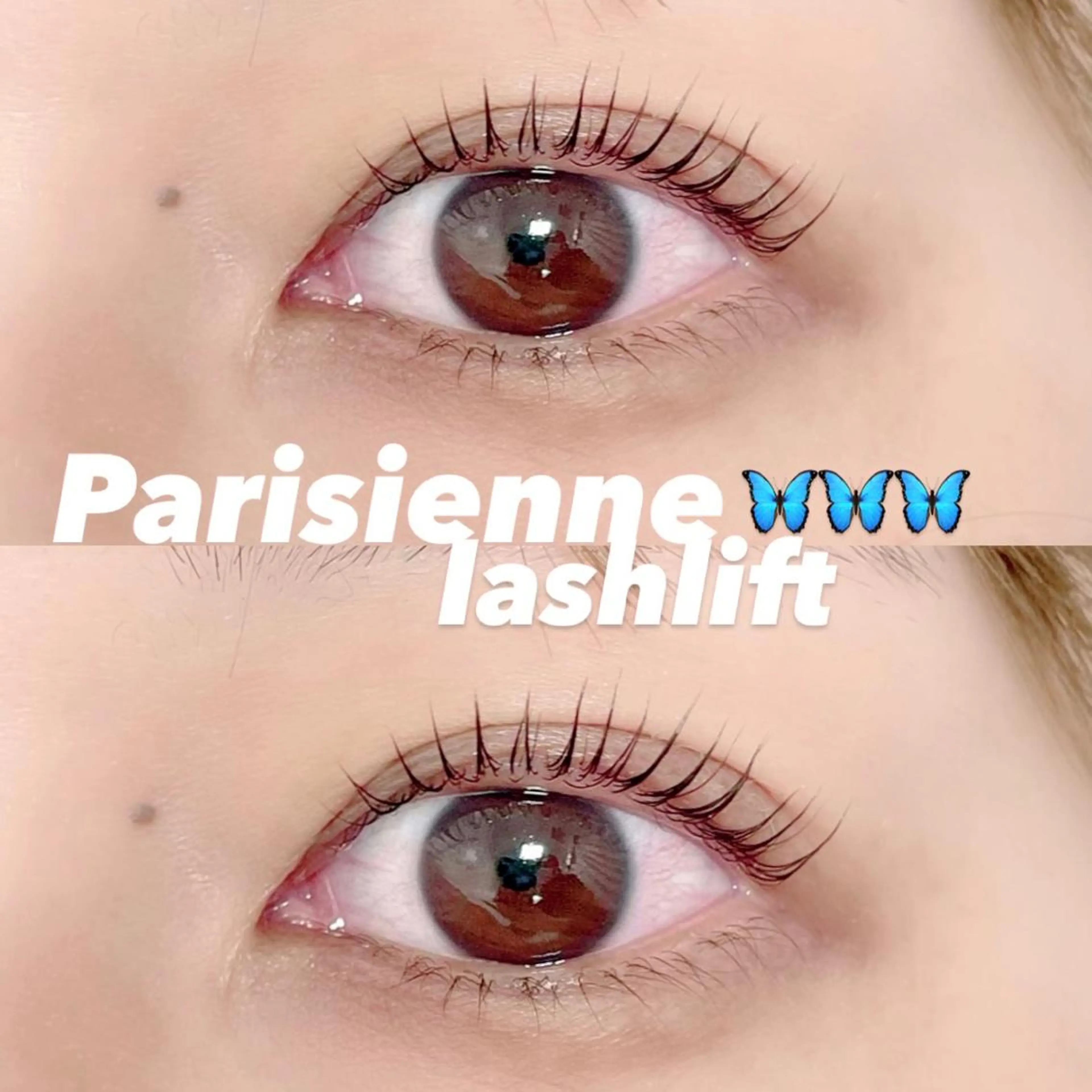 マツエク・マツパ FOXY LASH Miyamotoのマツエク・マツパデザイン