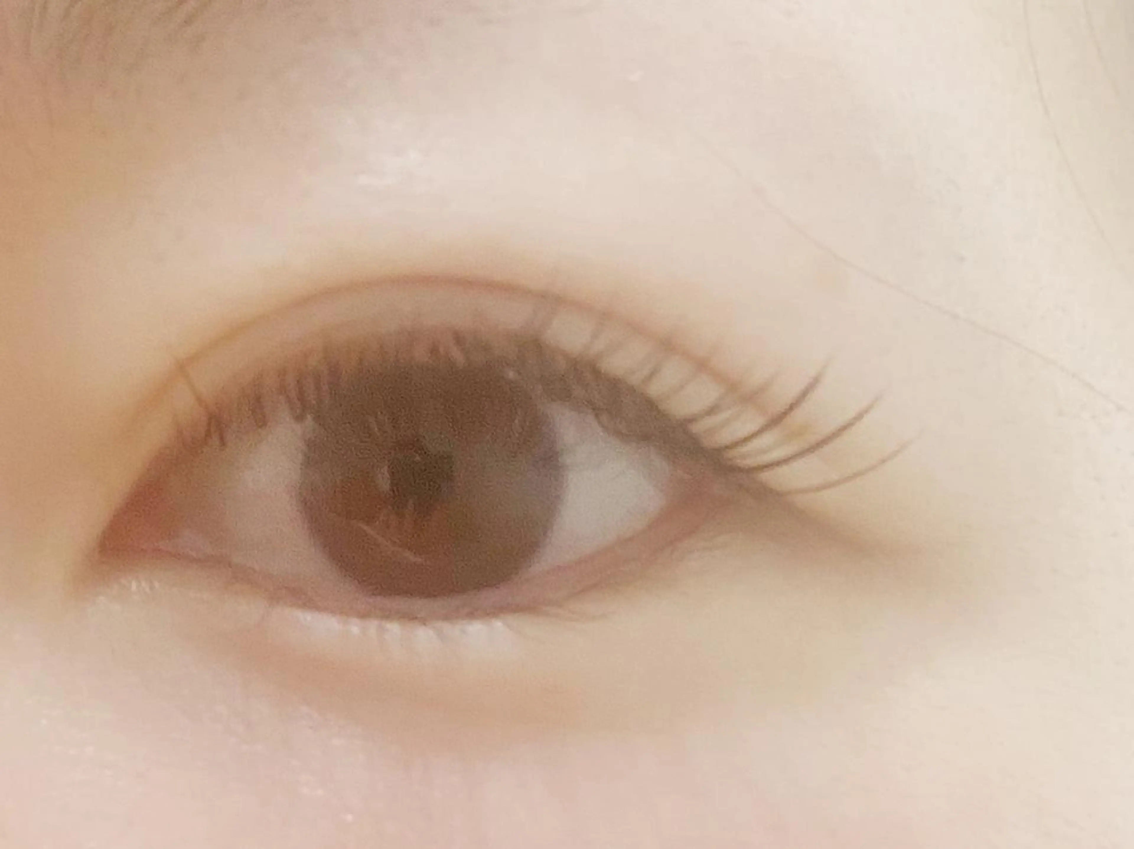 マツエク・マツパ フラットラッシュ 目尻長め マツエク 磯崎 桃子 f(エフ)のマツエク・マツパデザイン