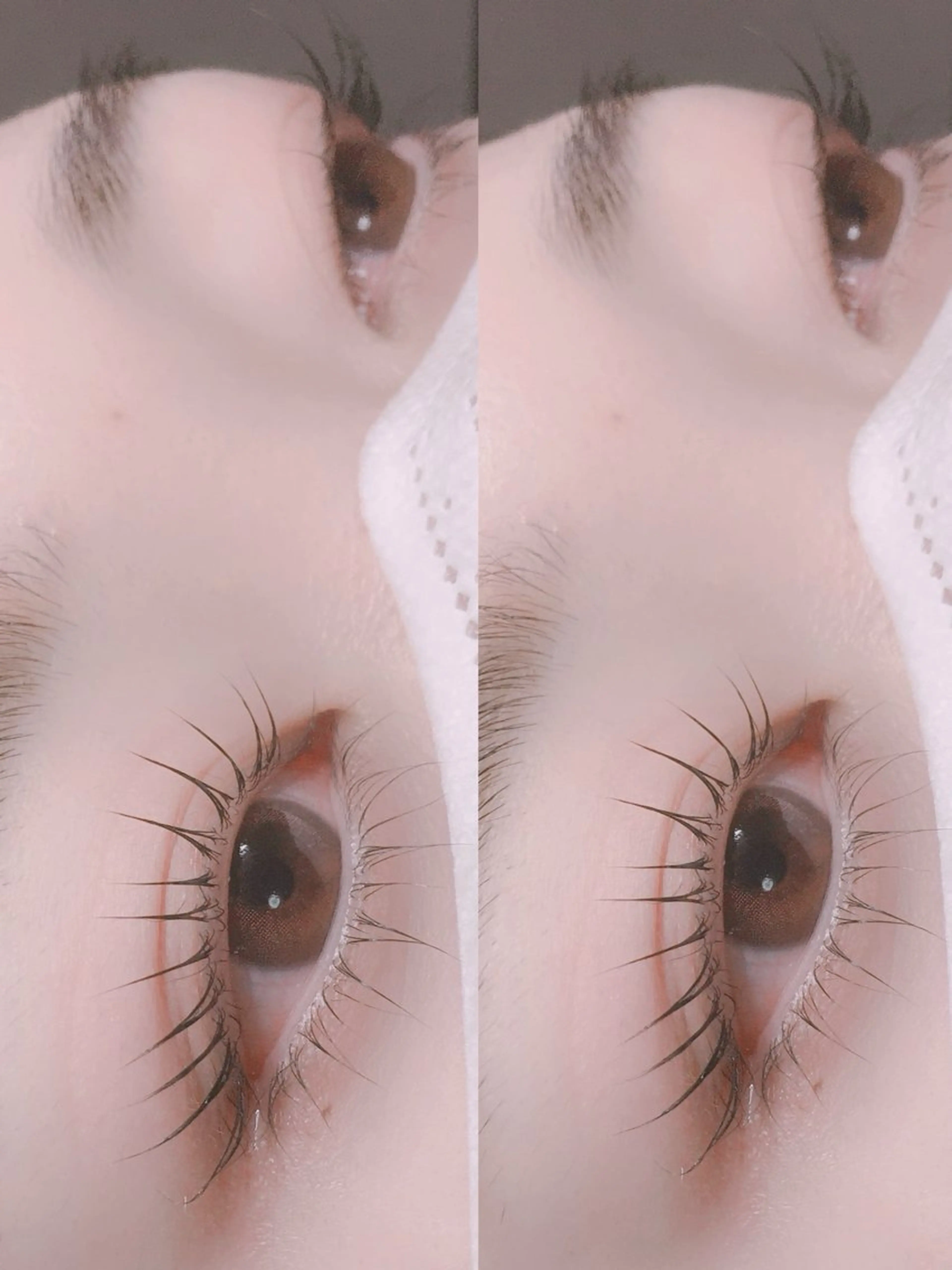 マツエク・マツパ マツパ Lｏｌｉ. ロリのマツエク・マツパデザイン