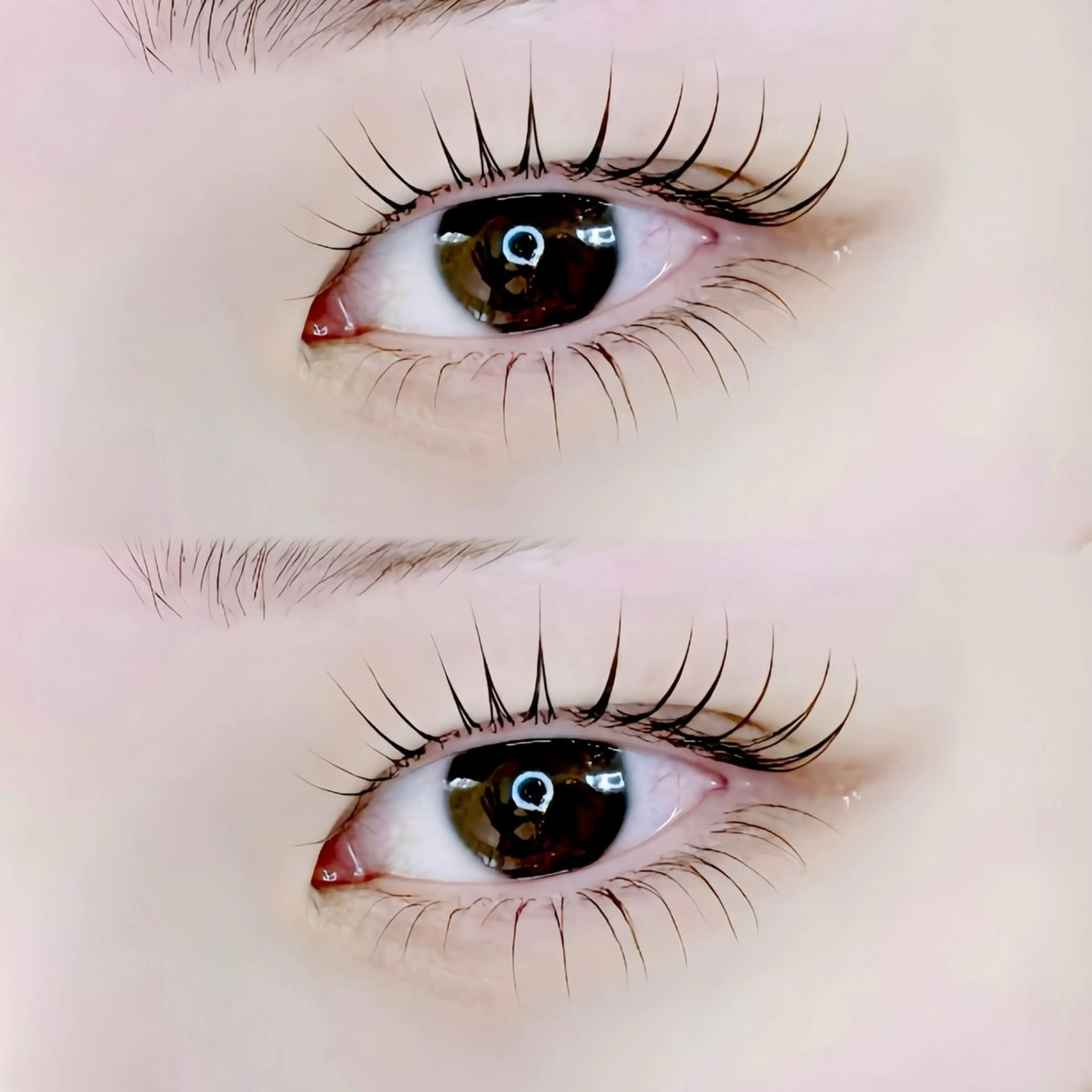 ラッシュリフト上下の写真