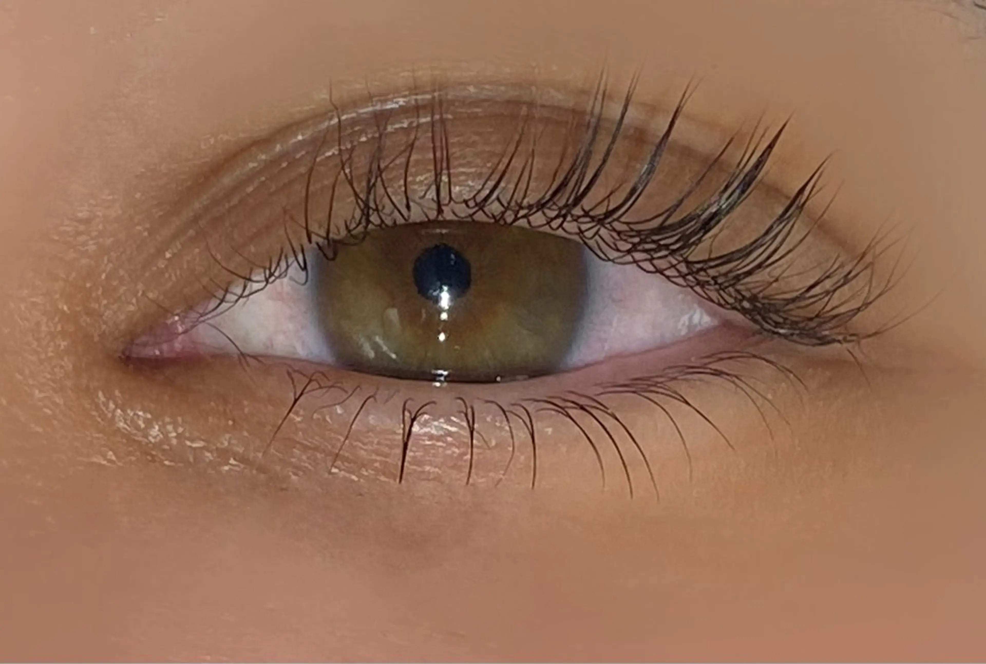 まつ毛パーマ（下のみ）🪽✨の写真