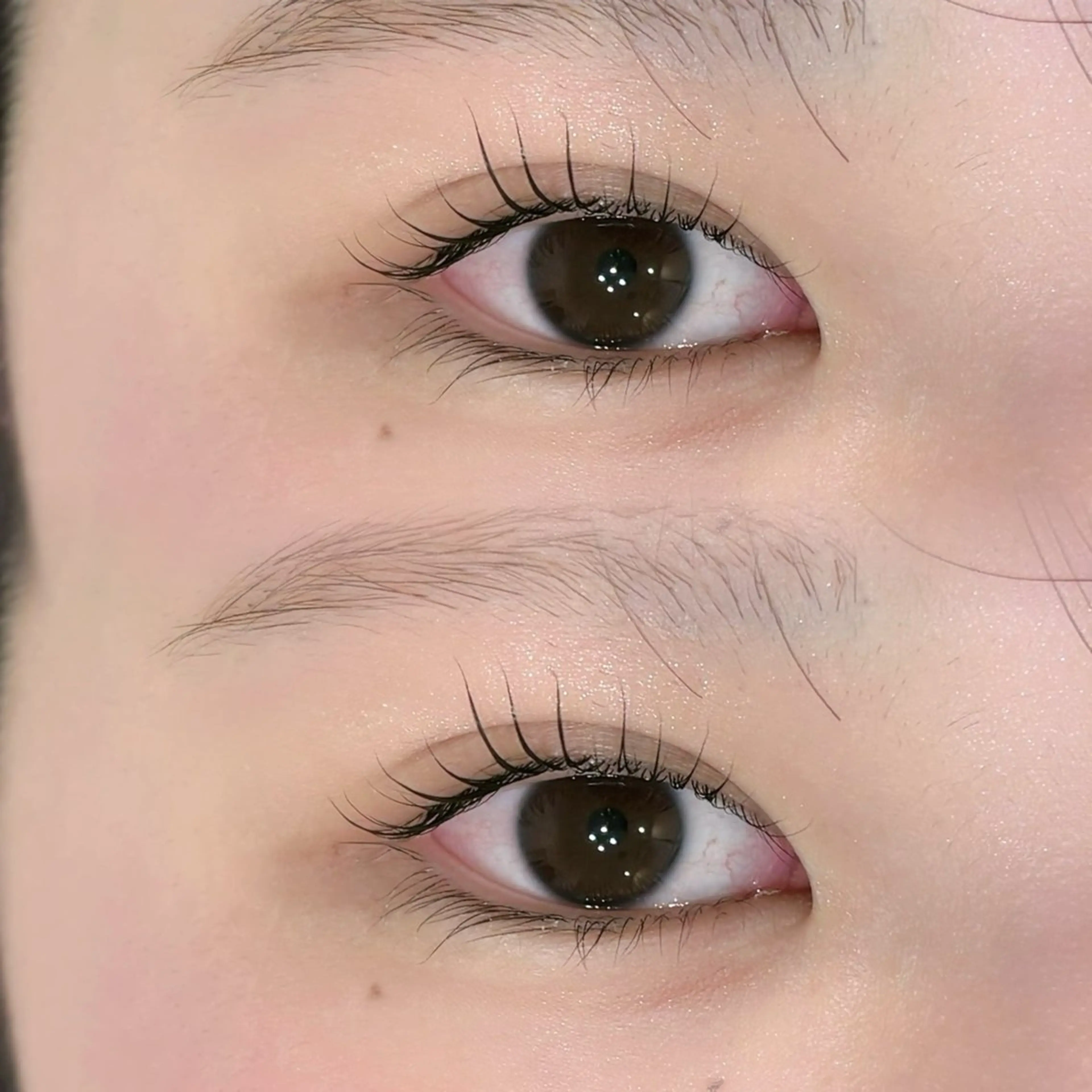 【新メニューモニター🌍】まつげパーマ TRケアラッシュリフトの写真