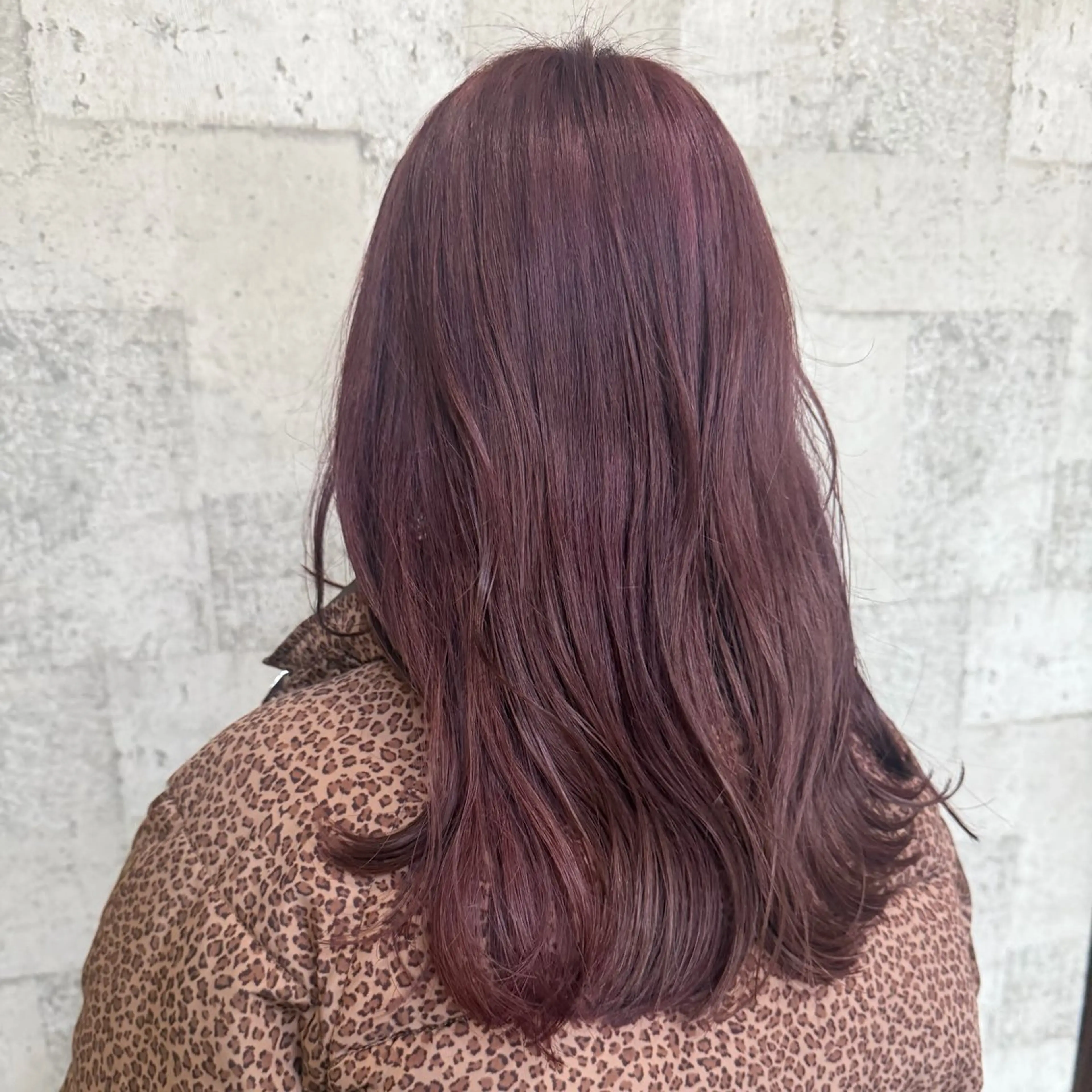 セミロング カラー ヘアカラー 🍒中川葵久美🍒 レイヤー/メンズのヘアスタイル