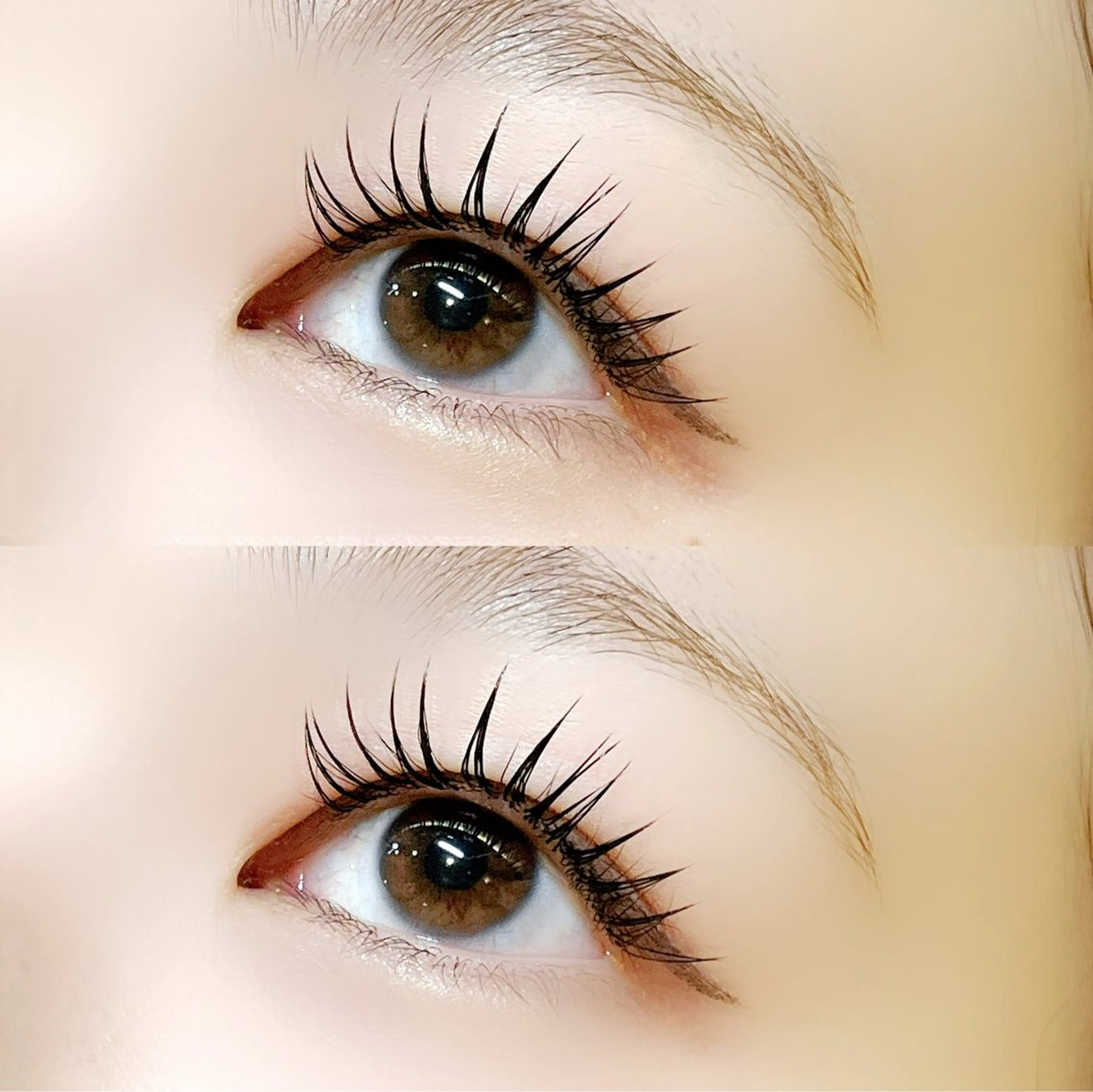 当日限定❣️［🪸最高級毛質‼︎フラットラッシュ 100本🪸］＋仕上げコーティング付き✨ 初回オフ無料🫧の写真